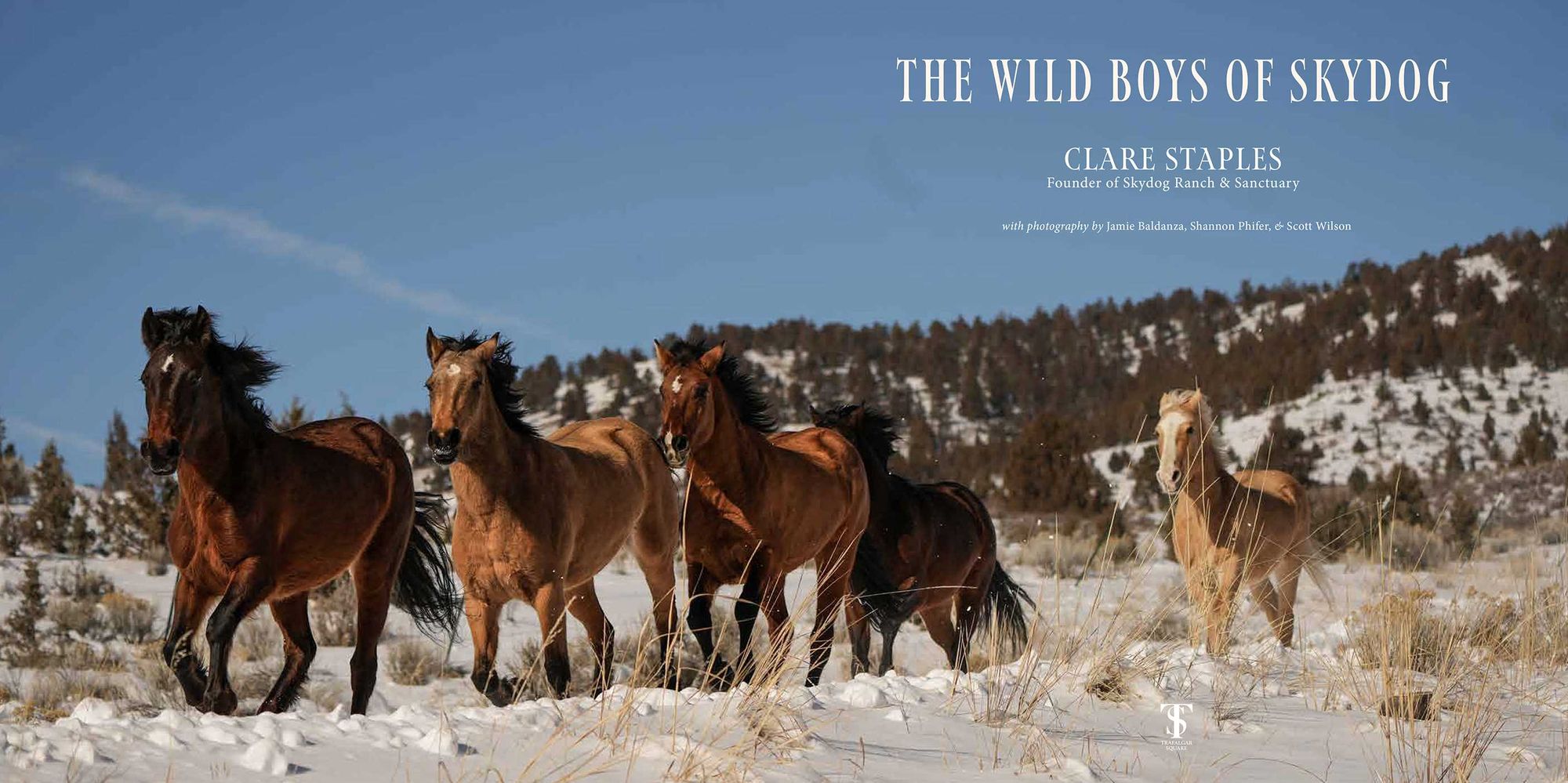 Wild Boys of Skydog