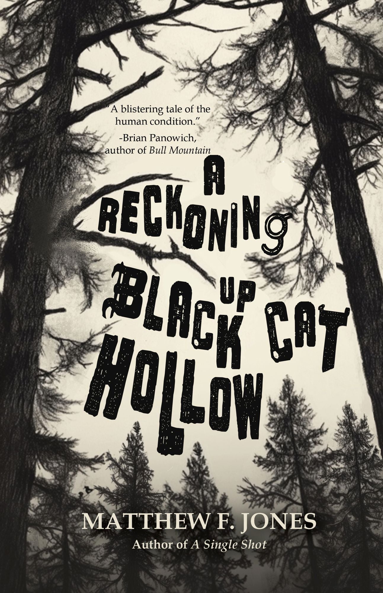 A Reckoning Up Black Cat Hollow