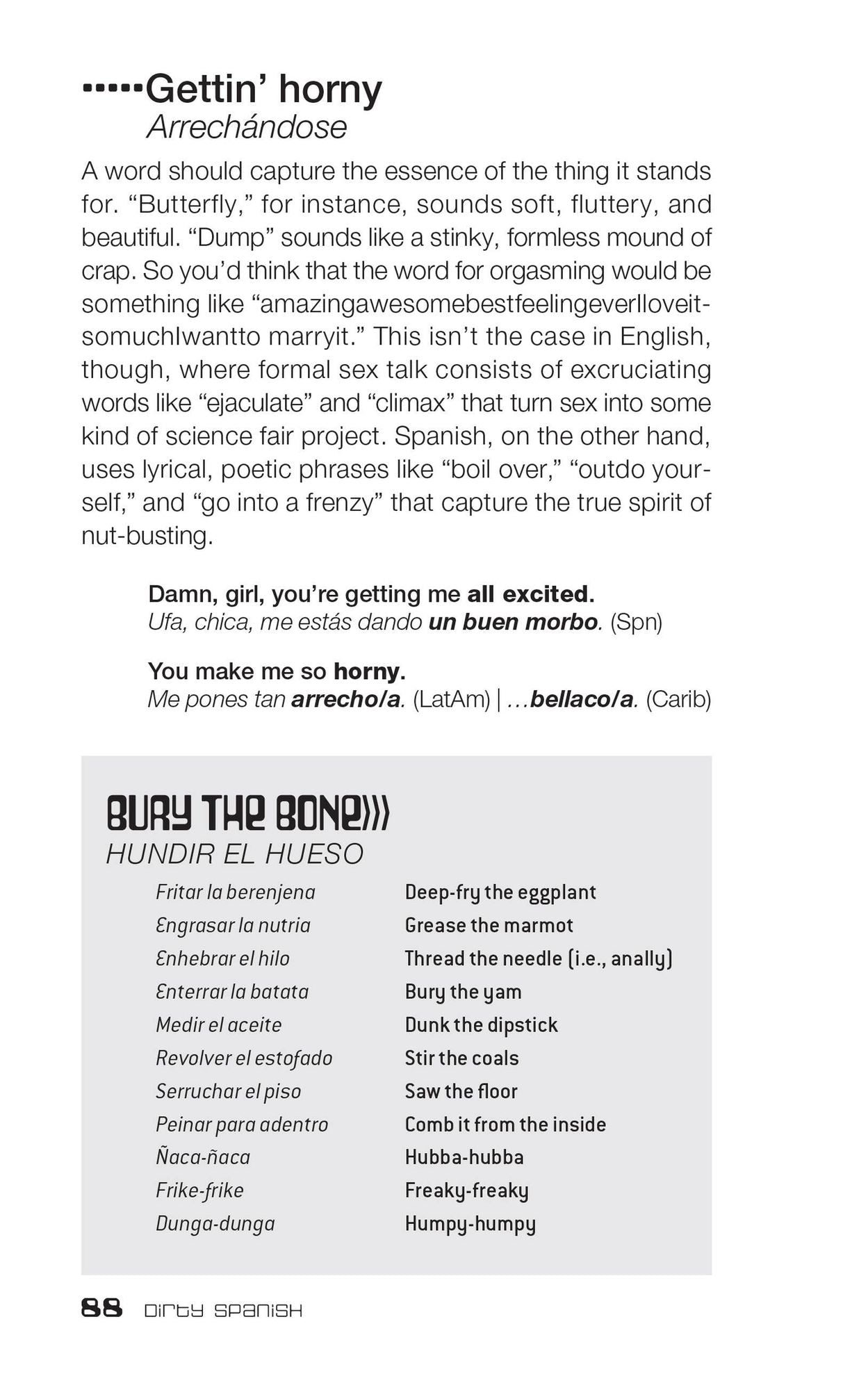Dirty Spanish: Third Edition: Everyday Slang from "What's Up?" to "F*%# Off!"