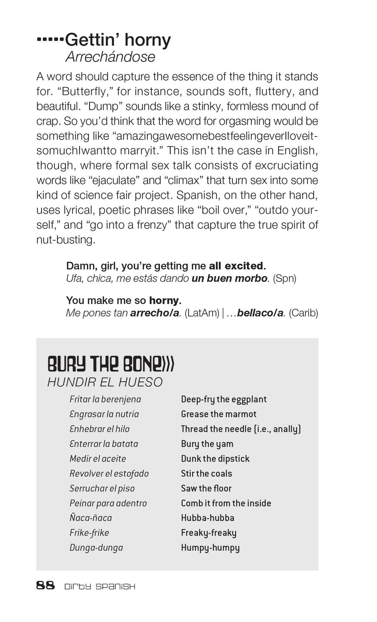 Dirty Spanish: Third Edition: Everyday Slang from "What's Up?" to "F*%# Off!"