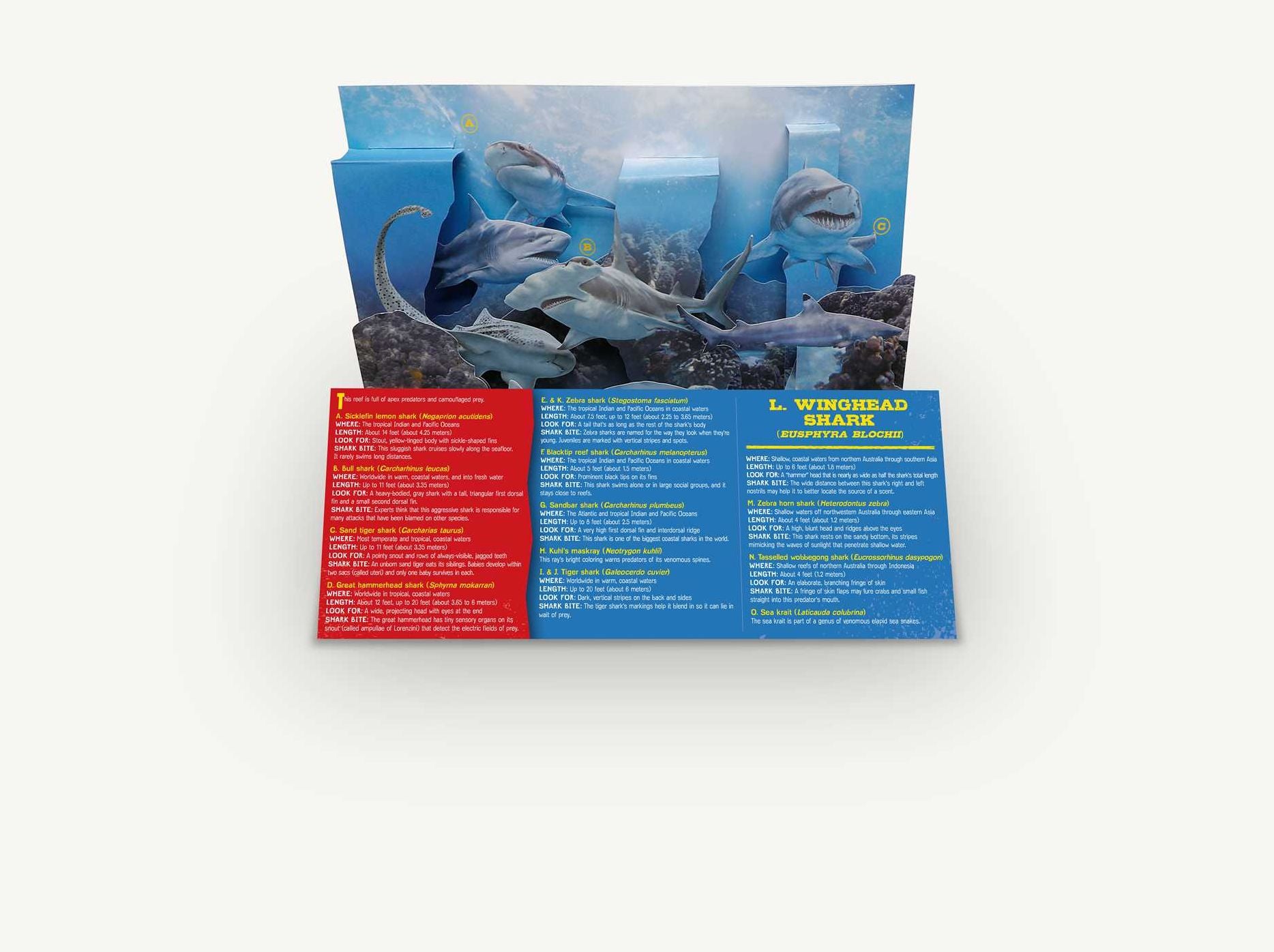 Shark World: A 3-D Pop-Up Book