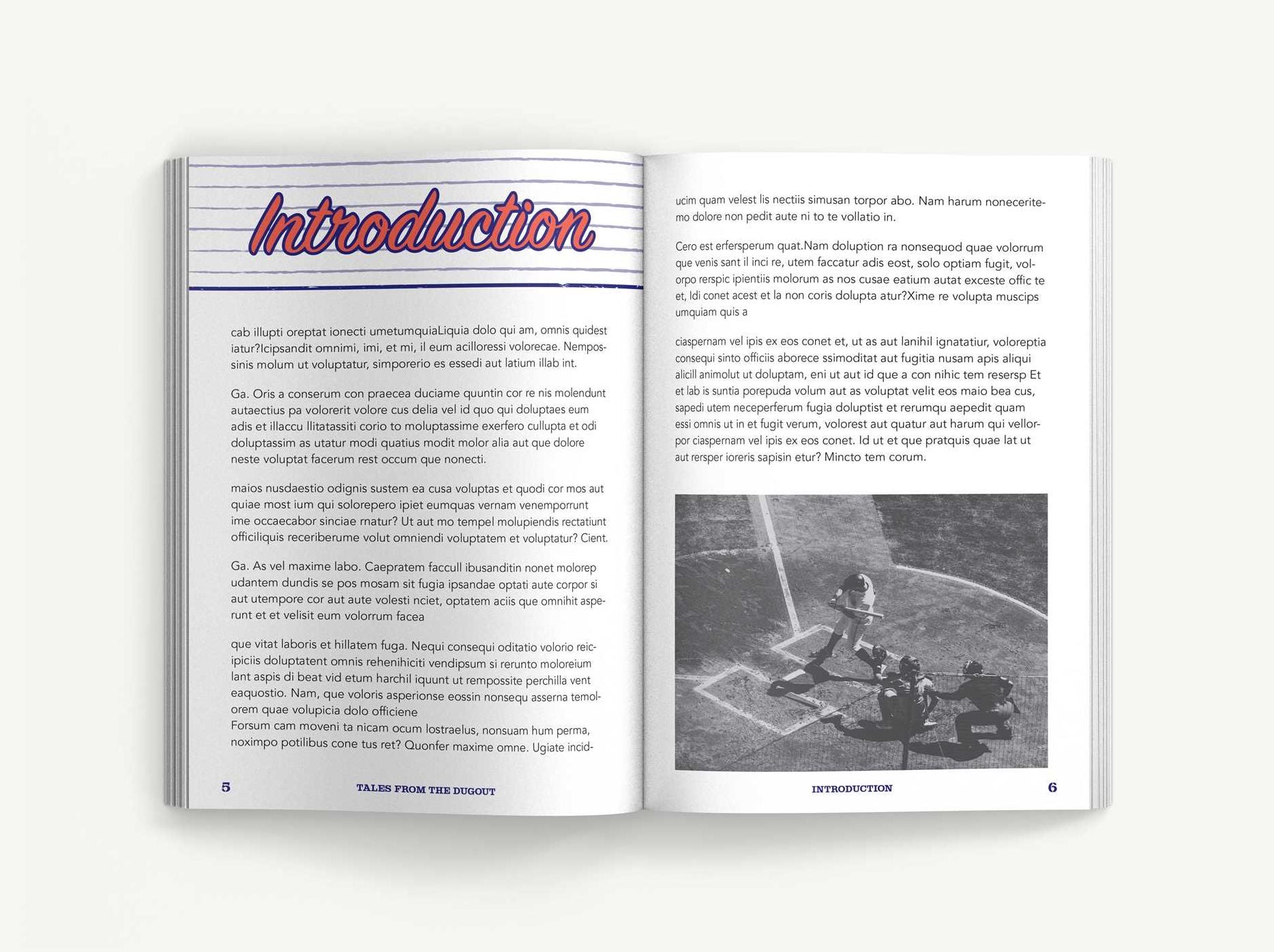 Tales from the Dugout: 1,001 Humorous, Inspirational and Wild Anecdotes from Minor League Baseball