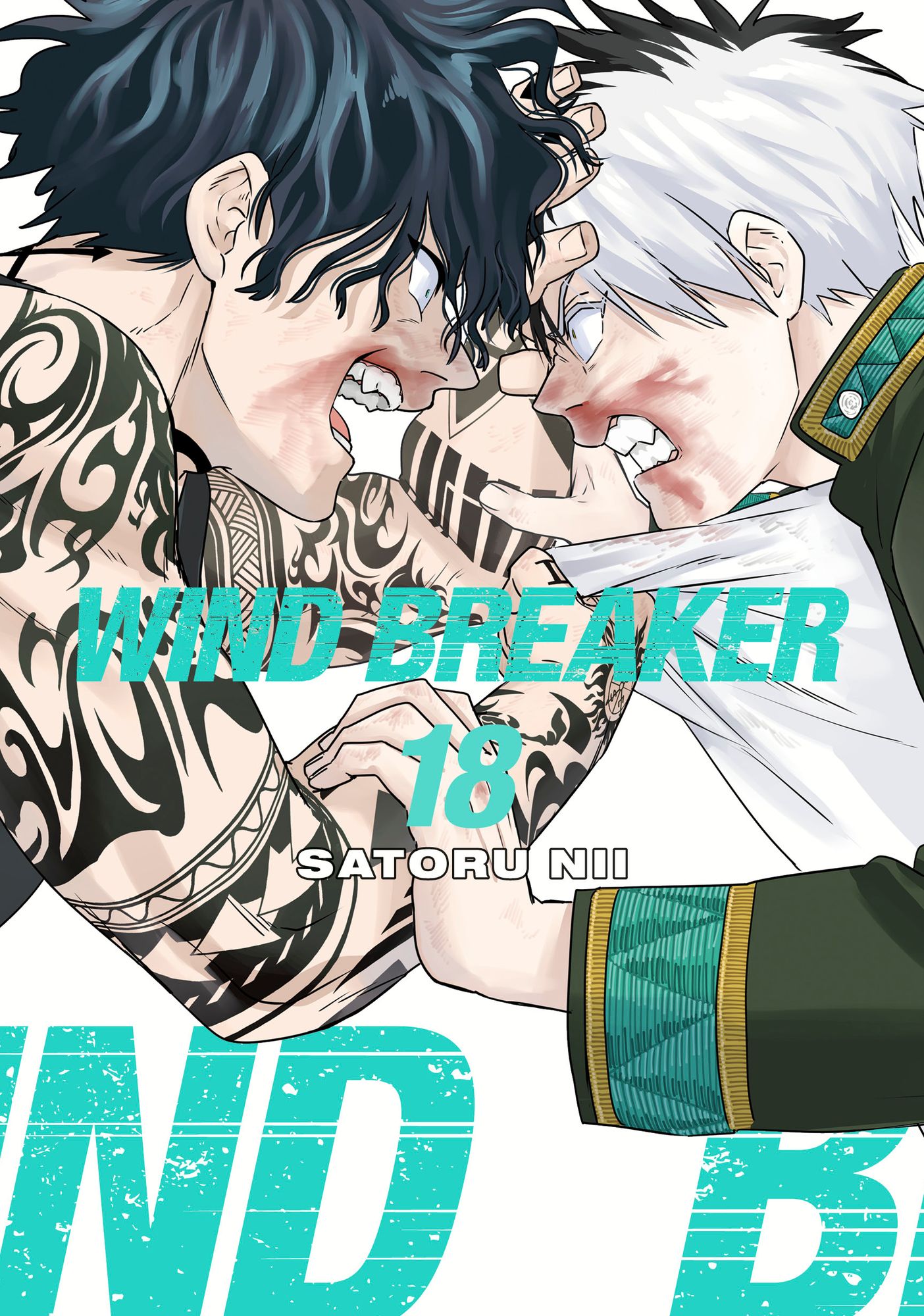 WIND BREAKER 18