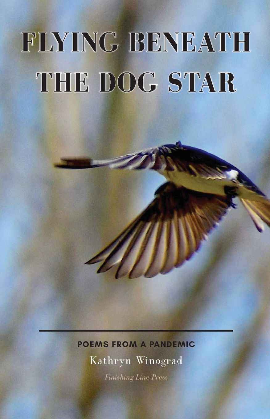 Flying Beneath the Dog Star: Poems from a Pandemic
