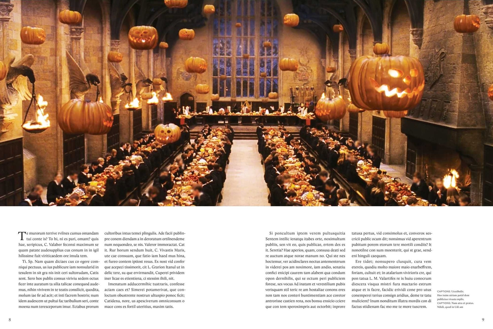 Harry Potter: The Storyboards