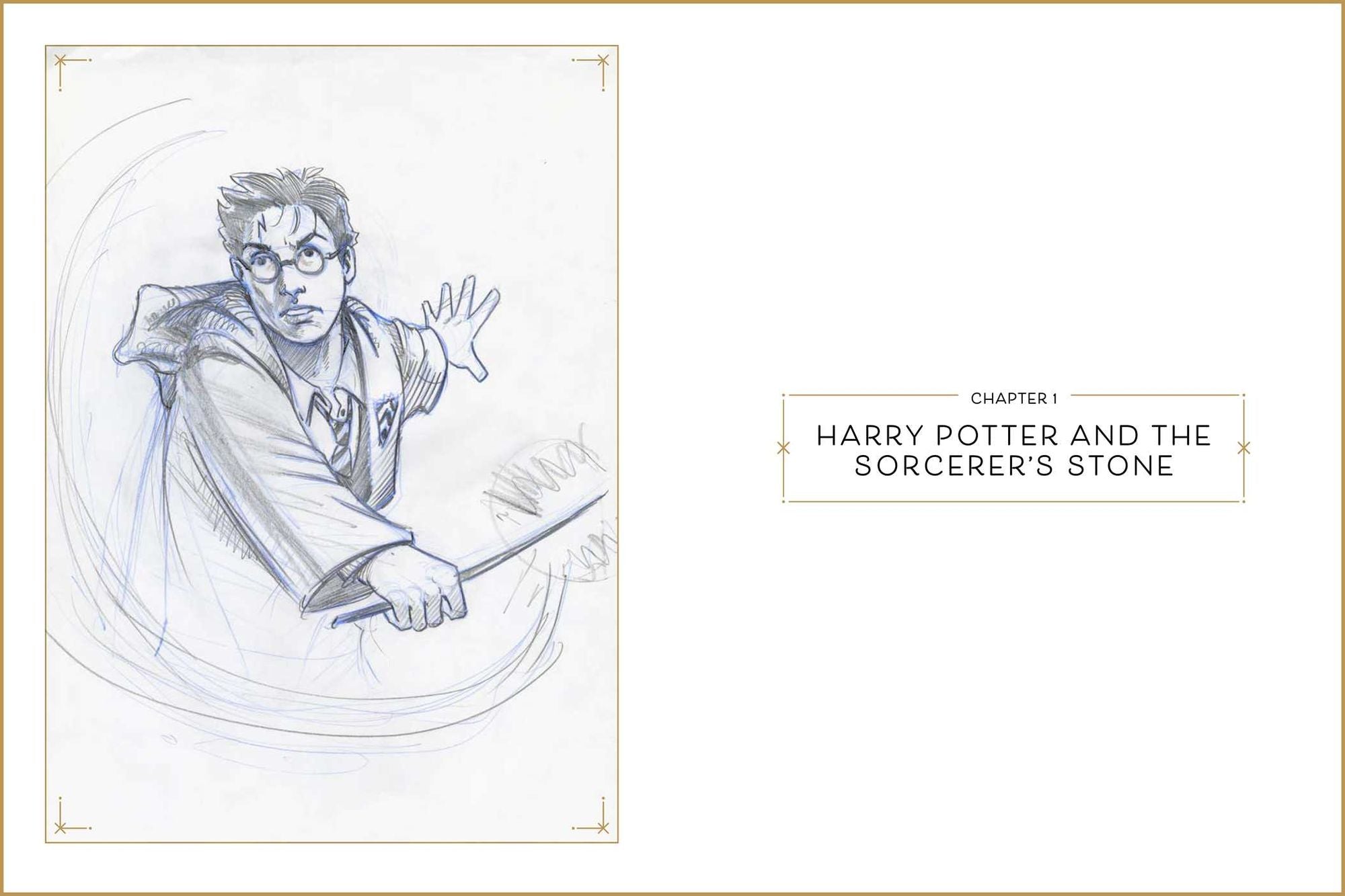 Harry Potter: The Storyboards