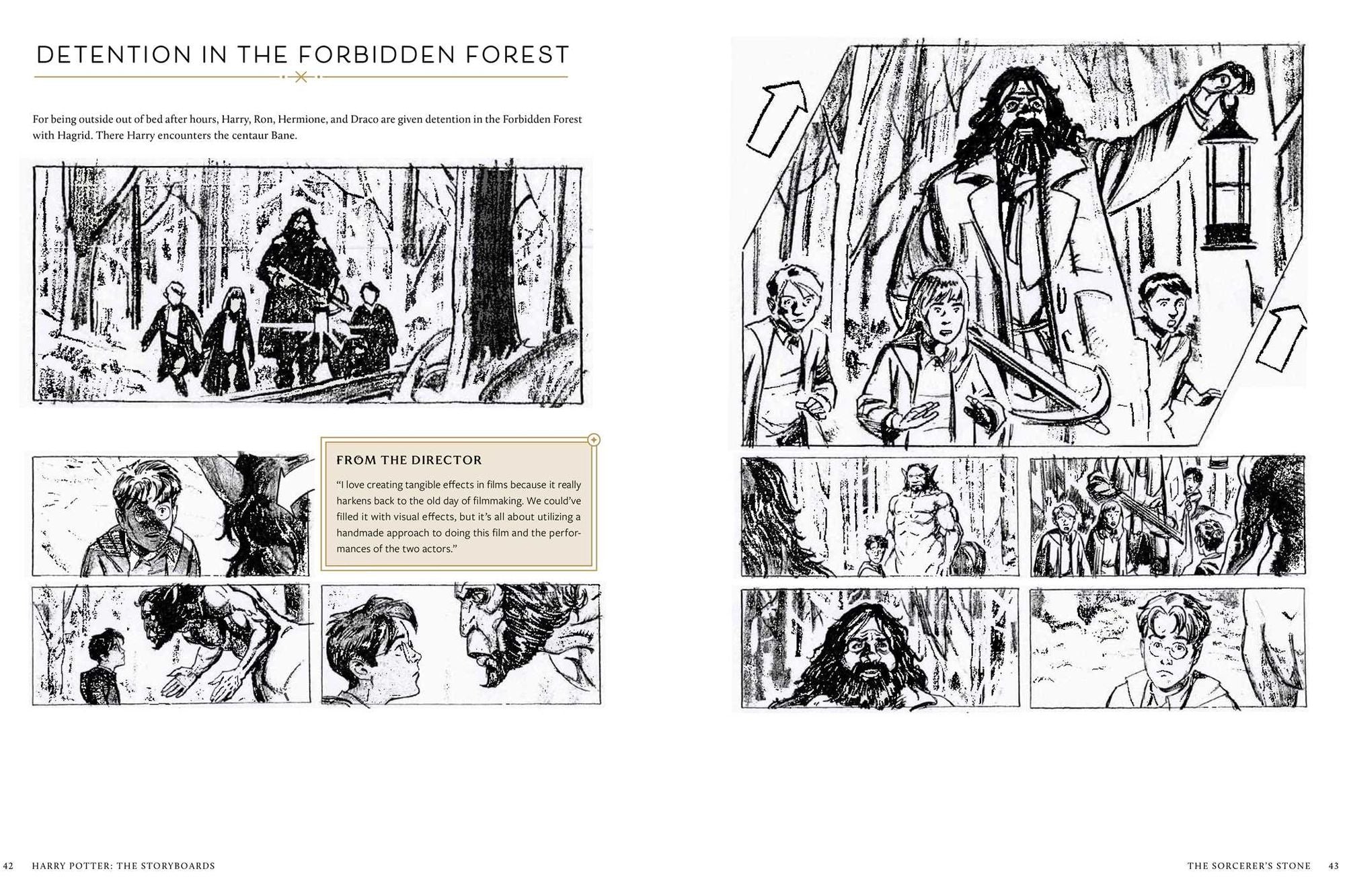 Harry Potter: The Storyboards