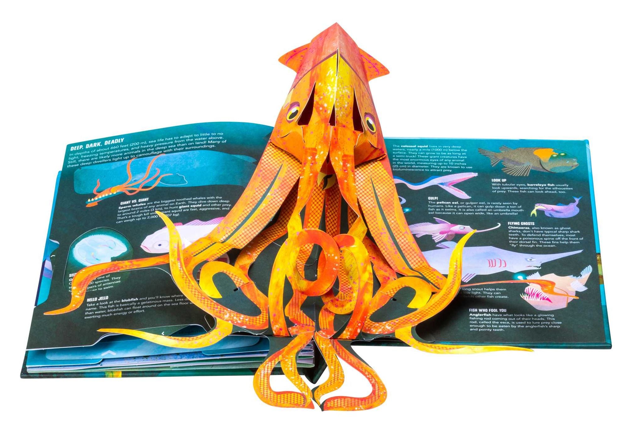 Teeth, Tentacles, and Tail Fins (Reinhart Pop-Up Studio): A Wild Ocean Pop-Up (Reinhart Studios) (Ocean Book for Kids, Shark Book for Kids, Nature Book for Kids)