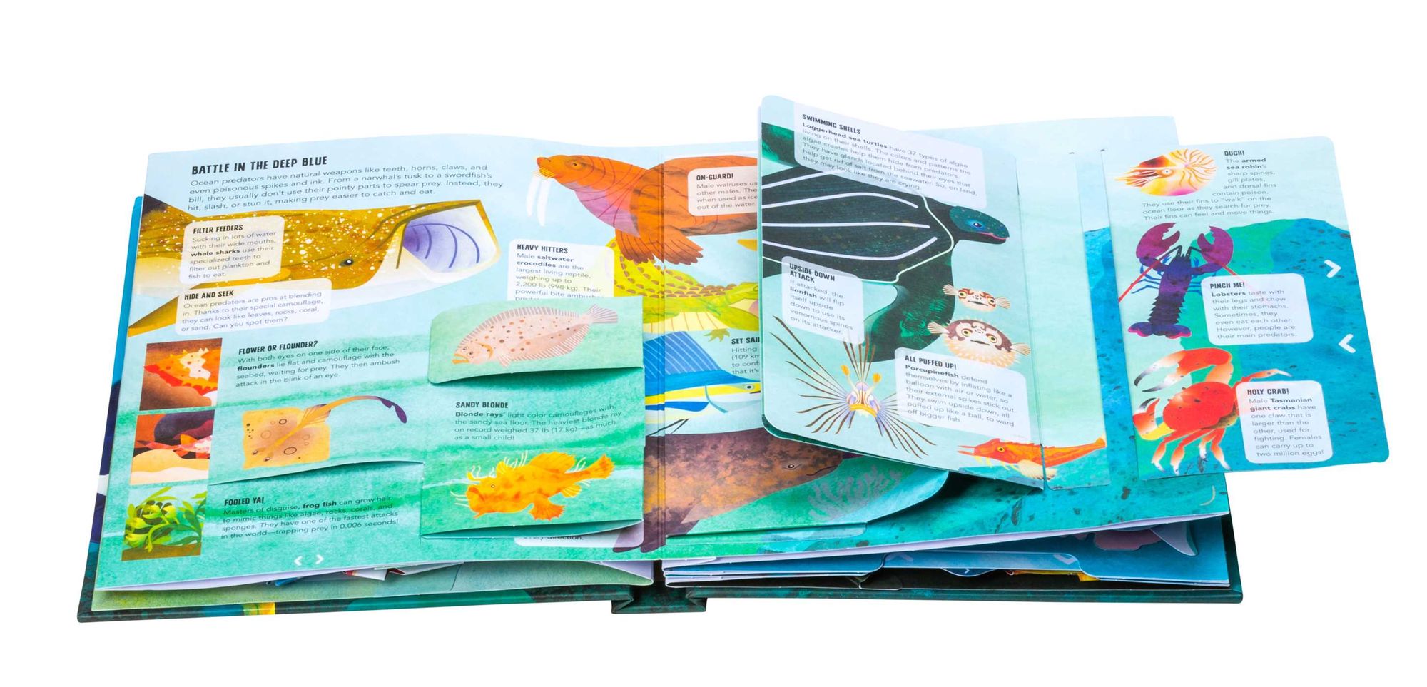 Teeth, Tentacles, and Tail Fins (Reinhart Pop-Up Studio): A Wild Ocean Pop-Up (Reinhart Studios) (Ocean Book for Kids, Shark Book for Kids, Nature Book for Kids)