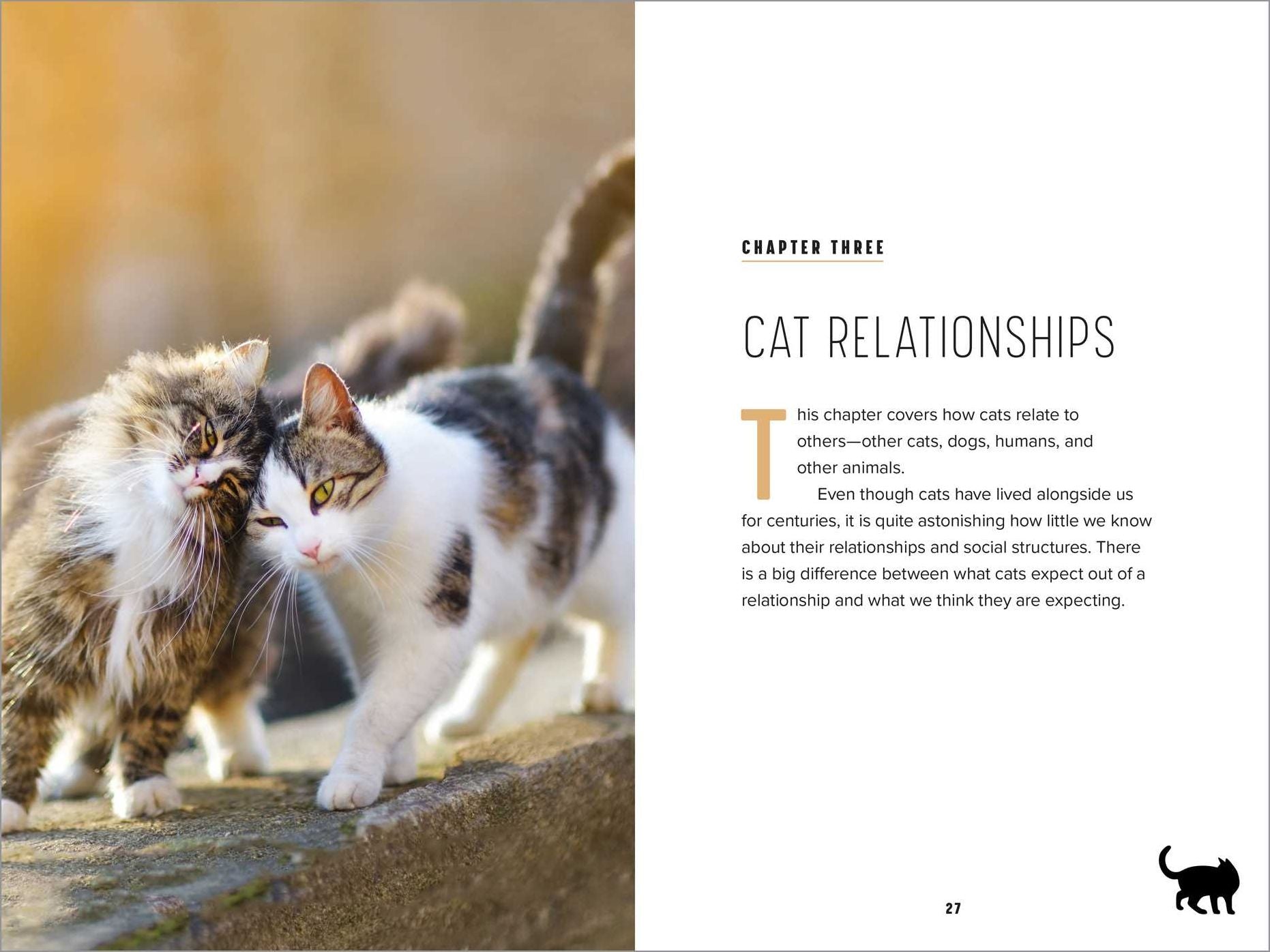 Understanding Cat Behavior: A Compassionate Guide to Training and Communication