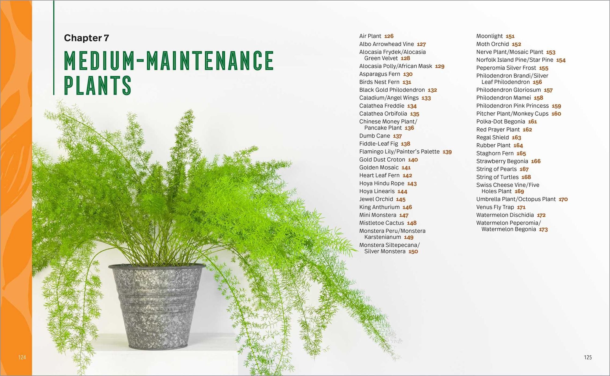 Houseplants for Beginners: A Practical Guide to Choosing, Growing, and Helping Your Plants Thrive