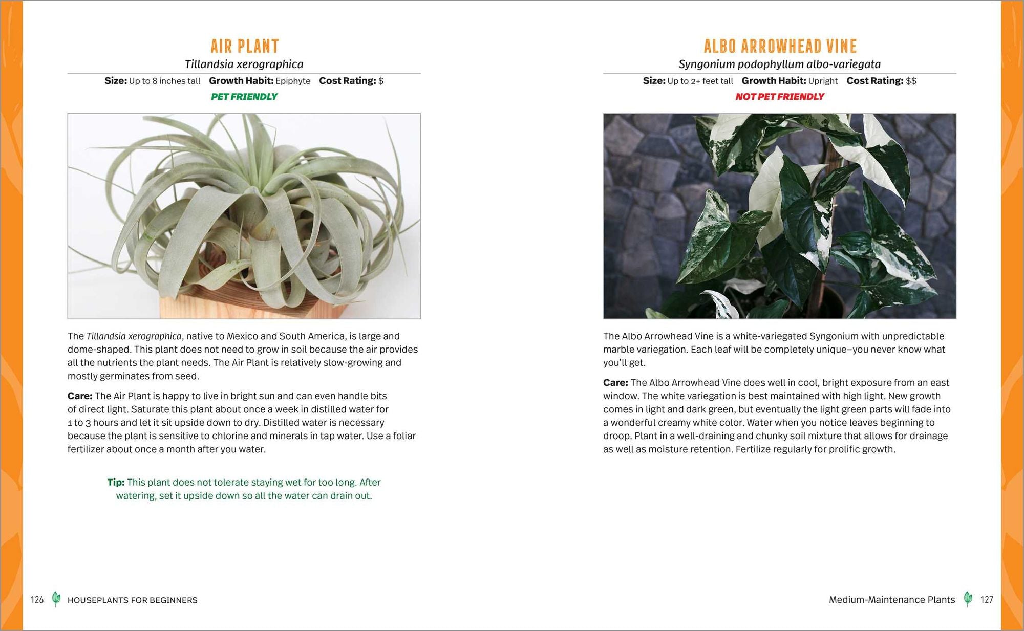 Houseplants for Beginners: A Practical Guide to Choosing, Growing, and Helping Your Plants Thrive
