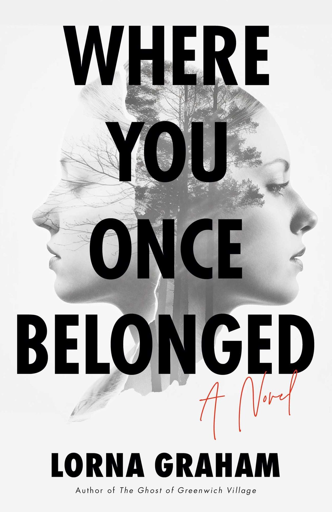 Where You Once Belonged: A Novel