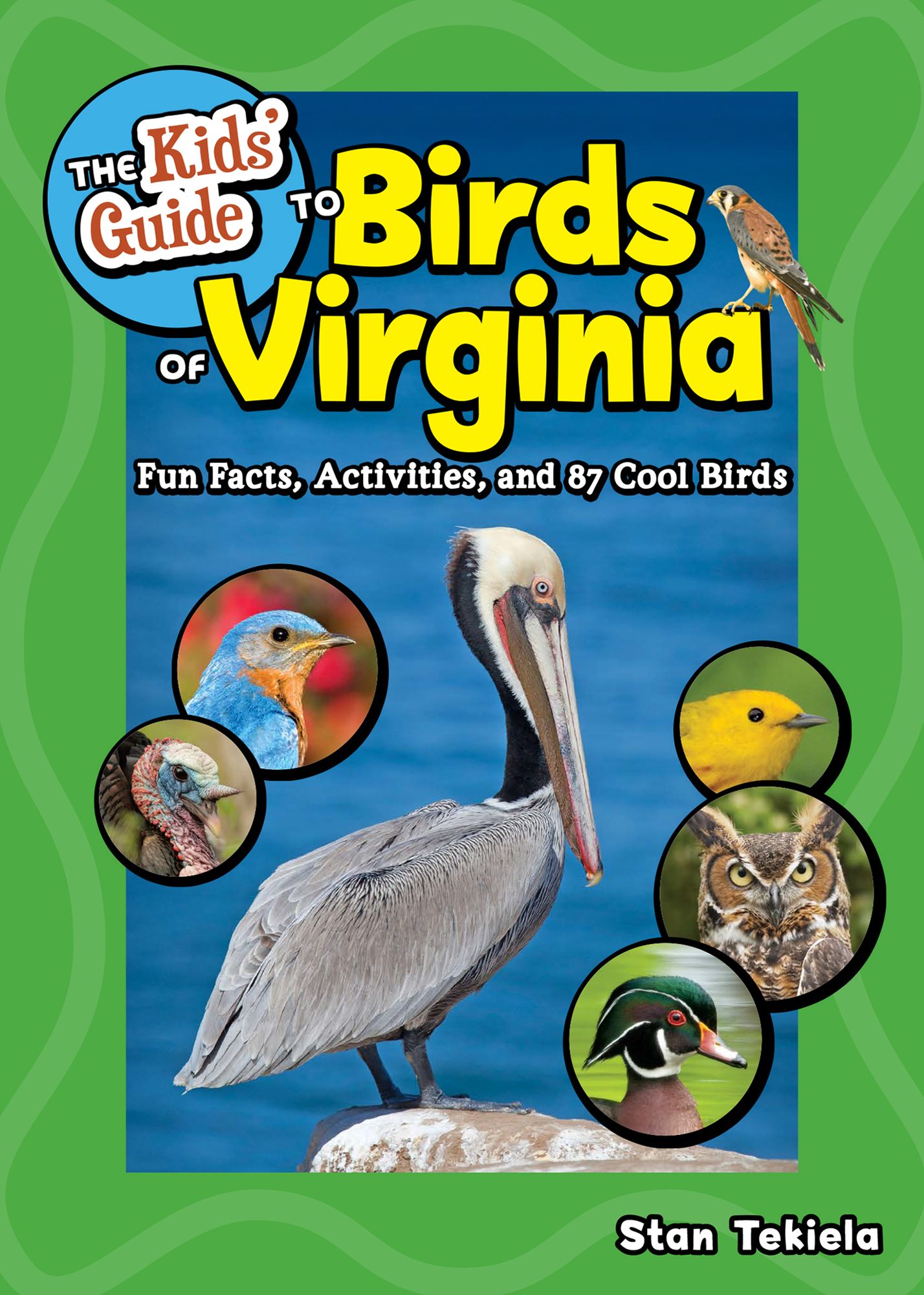 The Kids' Guide to Birds of Virginia: Fun Facts, Activities, and 87 Cool Birds