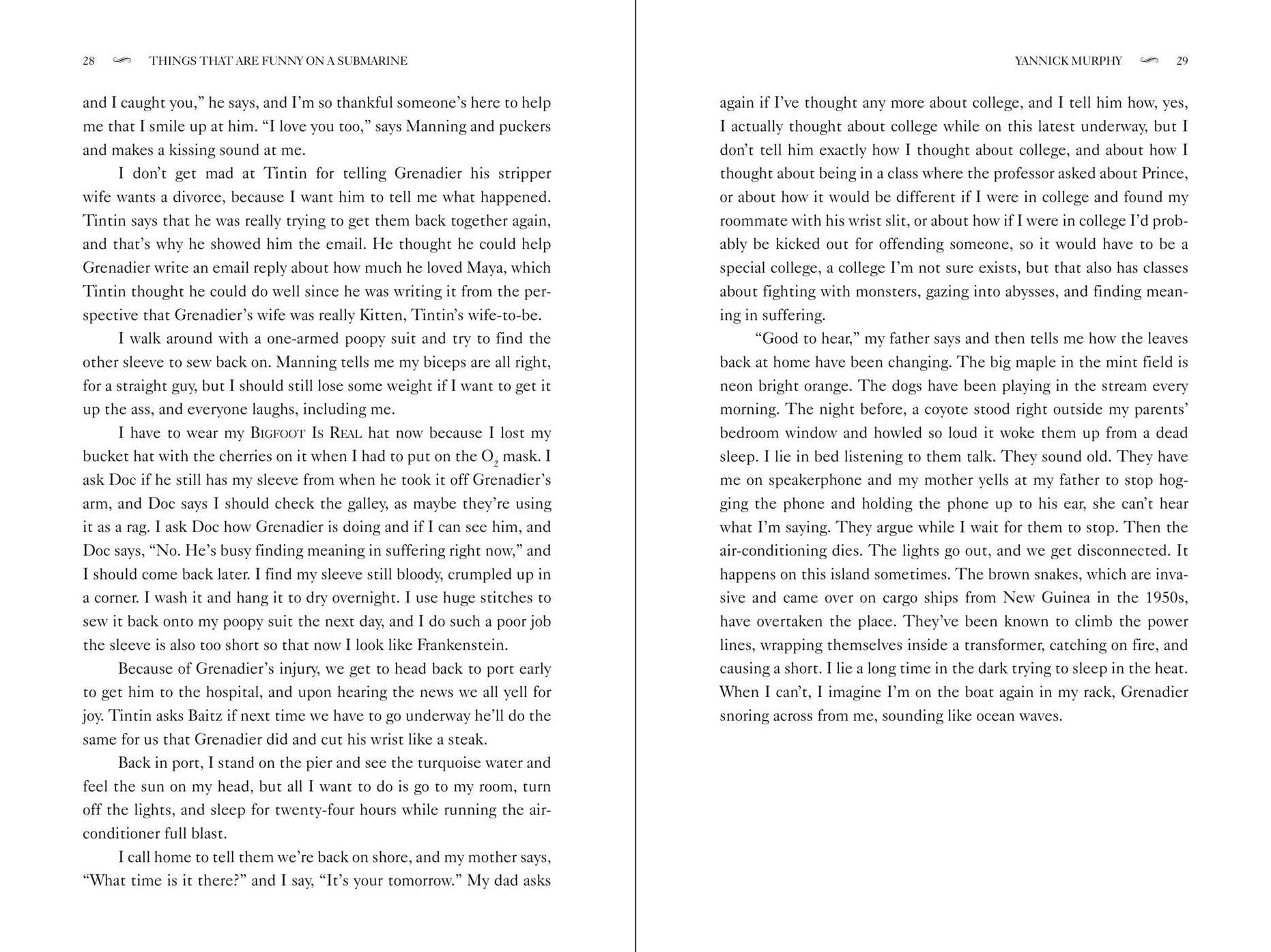 Things That Are Funny on a Submarine But Not Really: A Novel