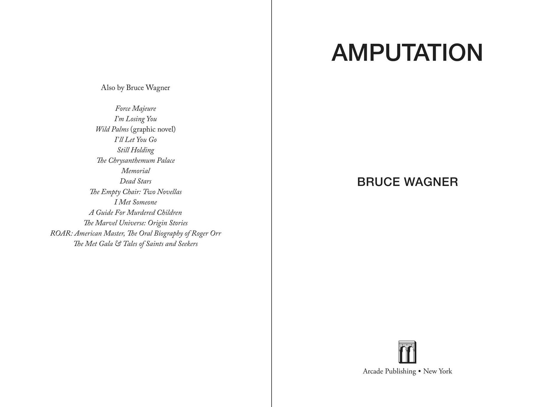 Amputation: A Novel
