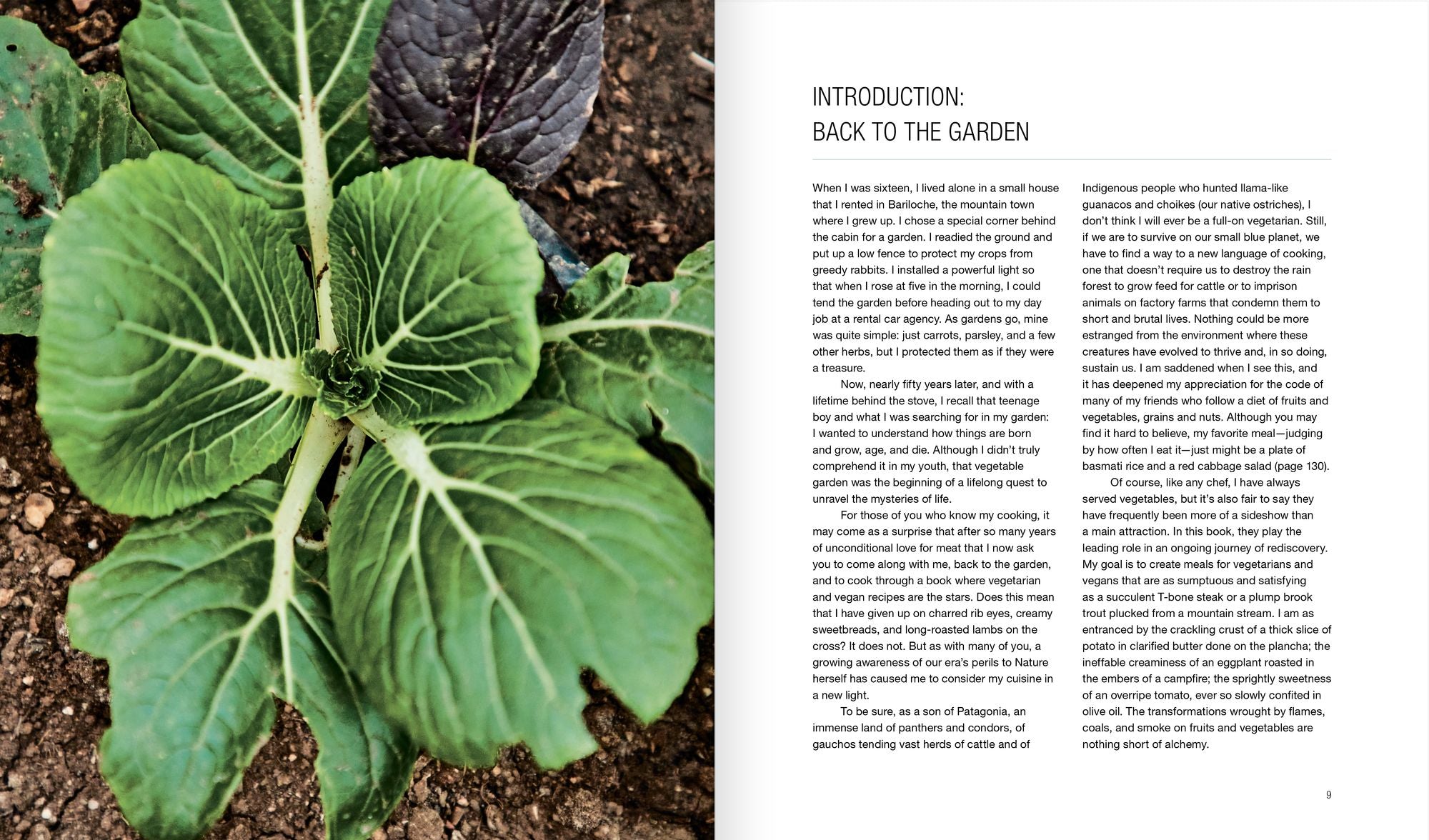 Green Fire: Extraordinary Ways to Grill Fruits and Vegetables, from the Master of Live-Fire Cooking