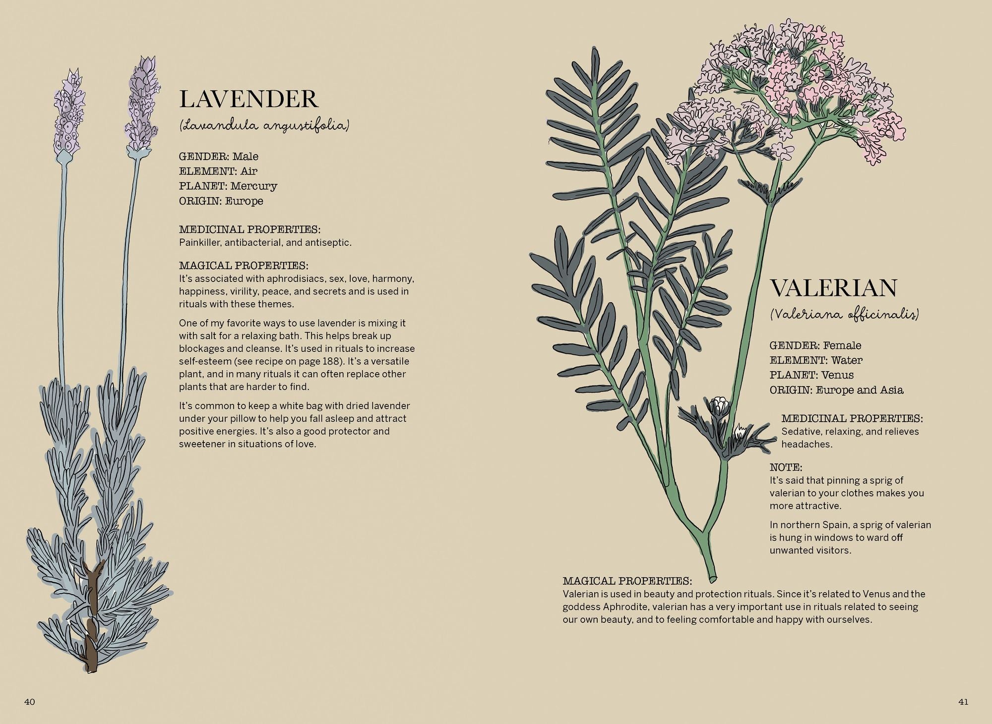 Magicka: Finding Spiritual Guidance Through Plants, Herbs, Crystals, and More