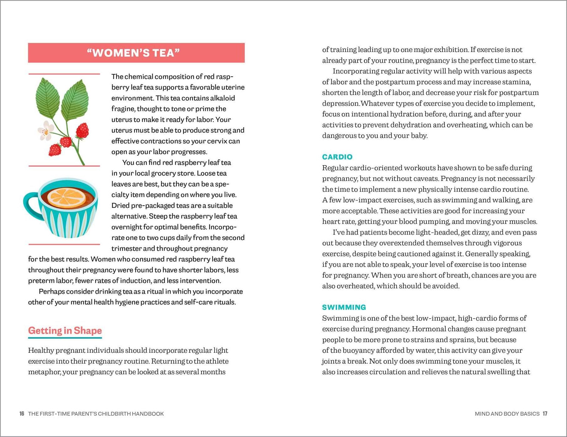 The First-Time Parent's Childbirth Handbook: A Step-by-Step Guide for Building Your Birth Plan