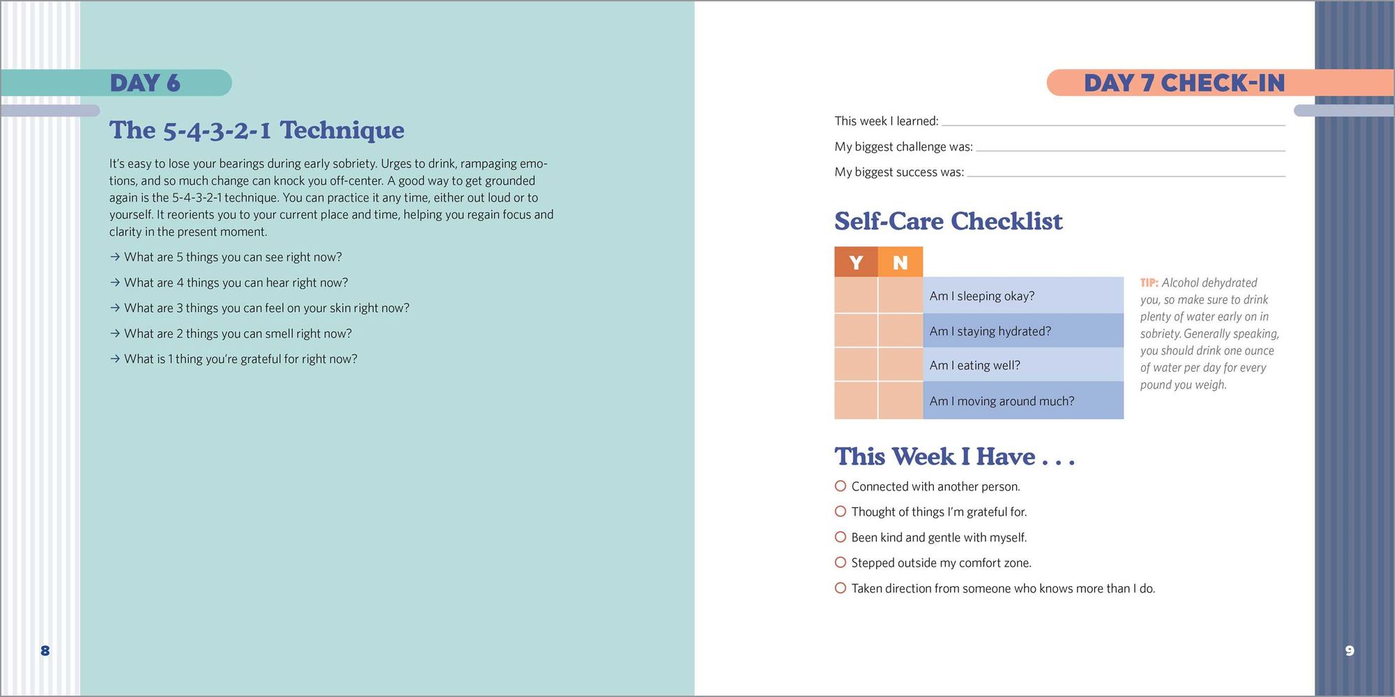 The First 90 Days of Sobriety: Recovering from Alcoholism: A Guided Journal