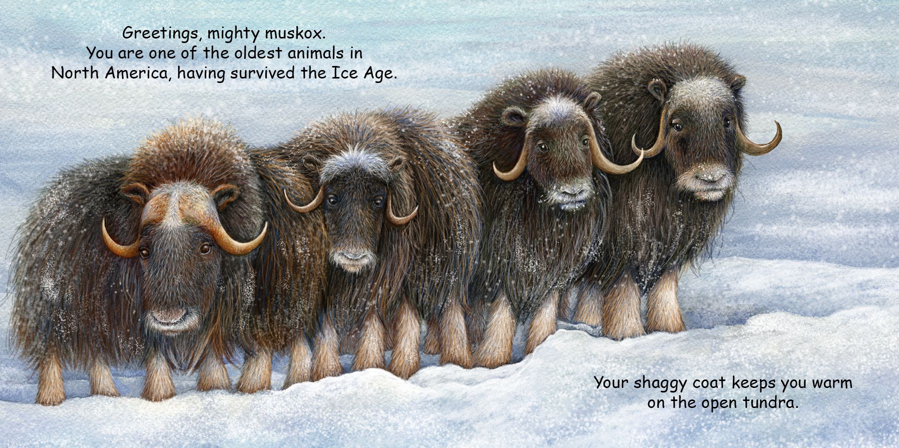 Good Night Alaskan Animals