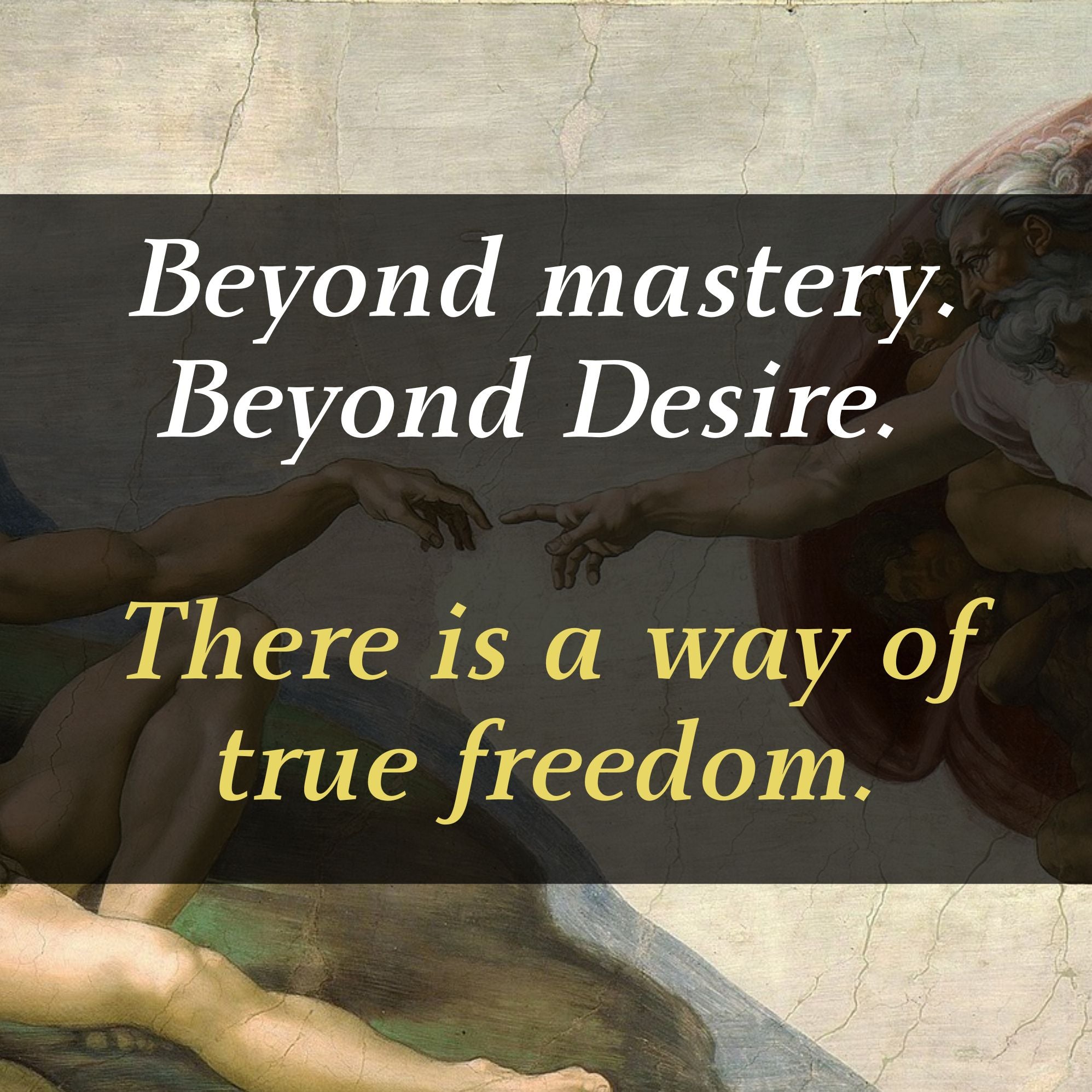 The Man of Zero: A Guide to Primal Power, Boundless Sex, and the Freedom Beyond Ambition