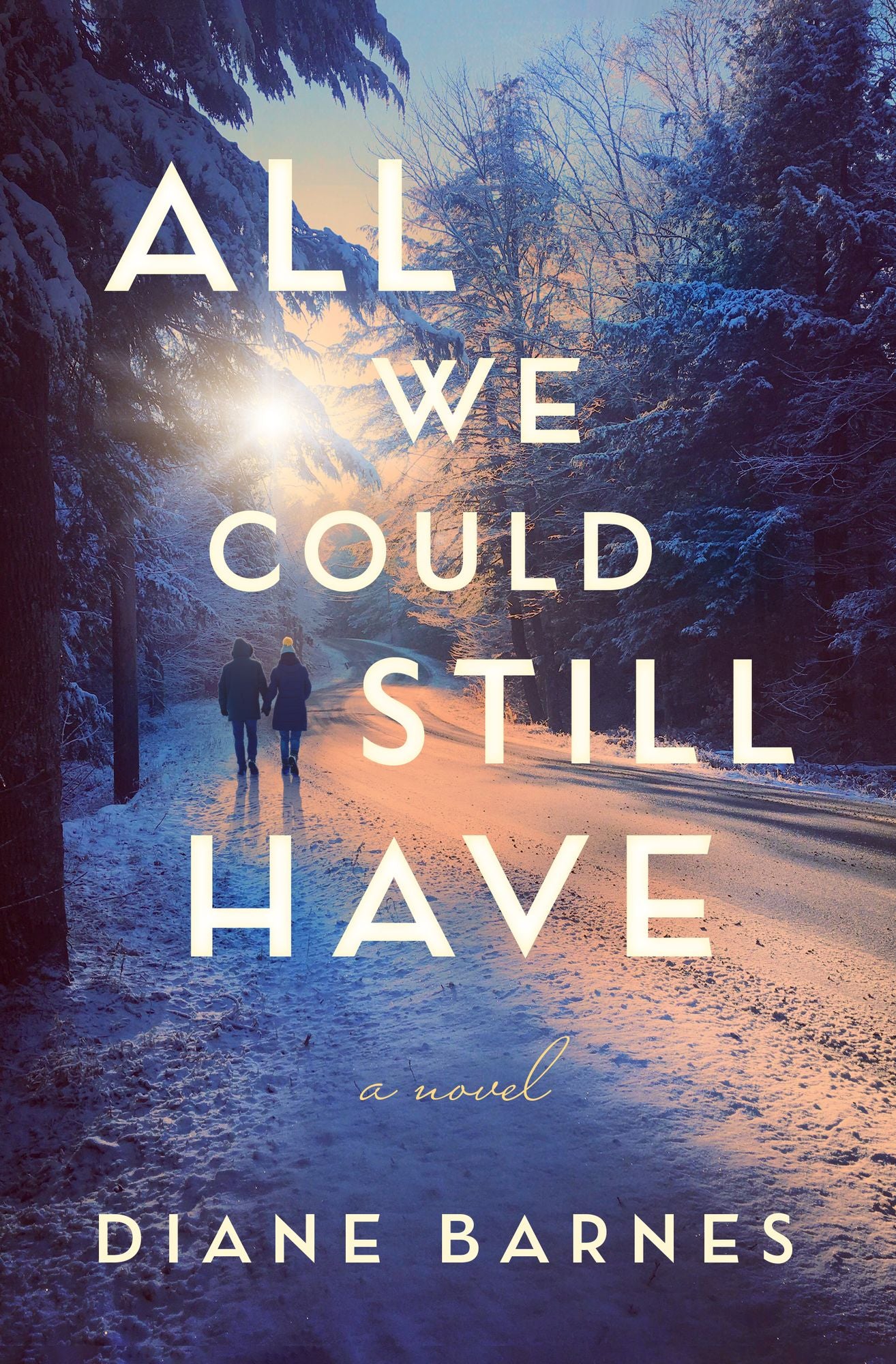 All We Could Still Have: A Novel