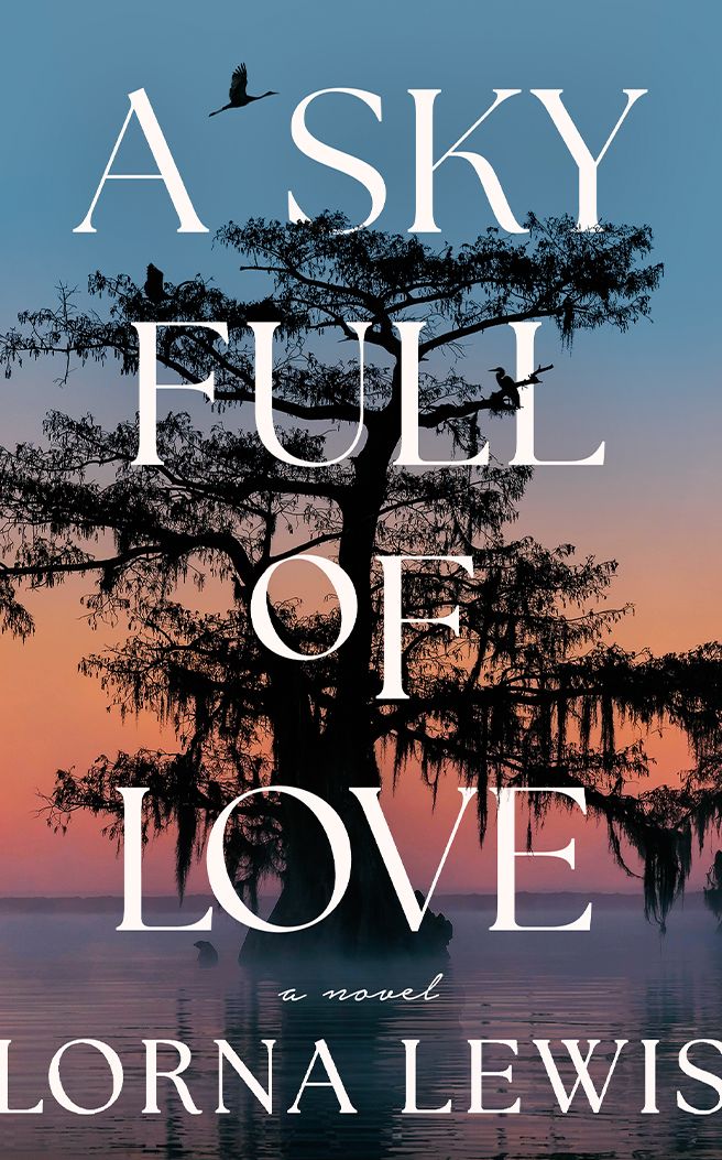 A Sky Full of Love: A Novel