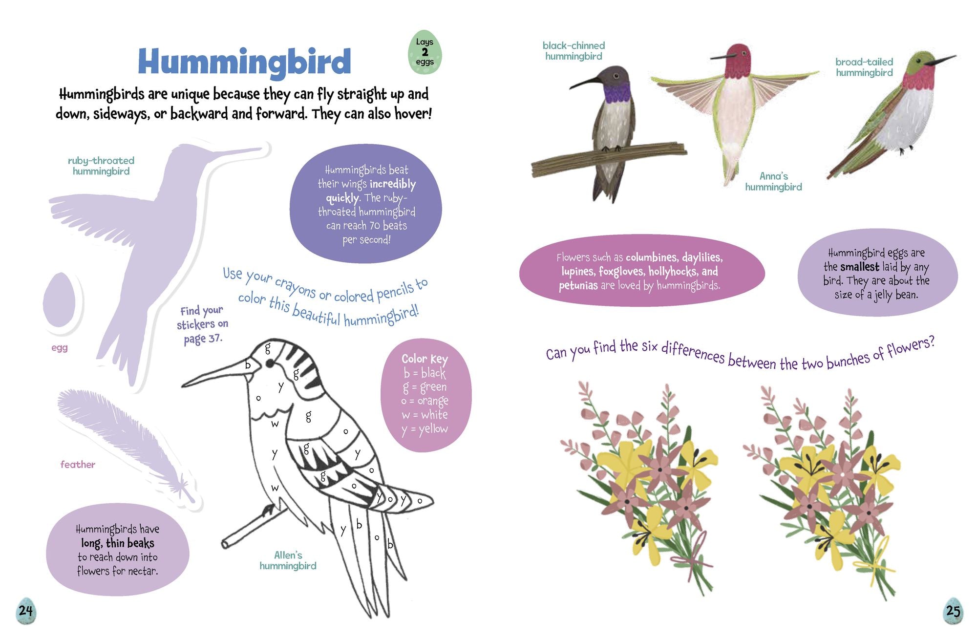 All About Birds Sticker Activity Book: With 100 Stickers!