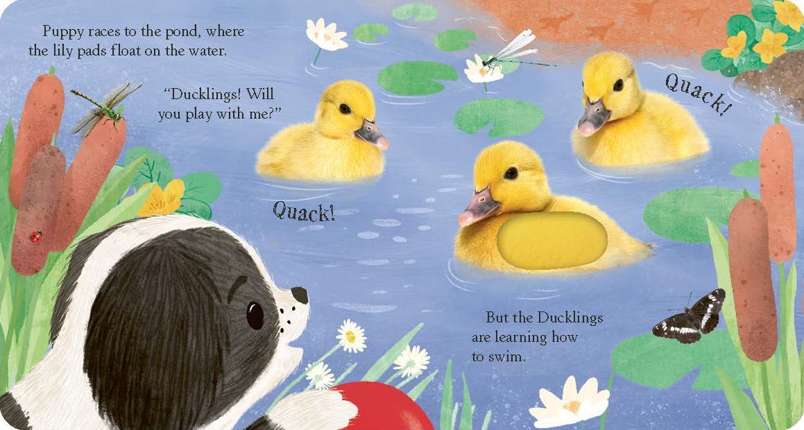Playtime on the Farm: A touch-and-feel baby animal storybook