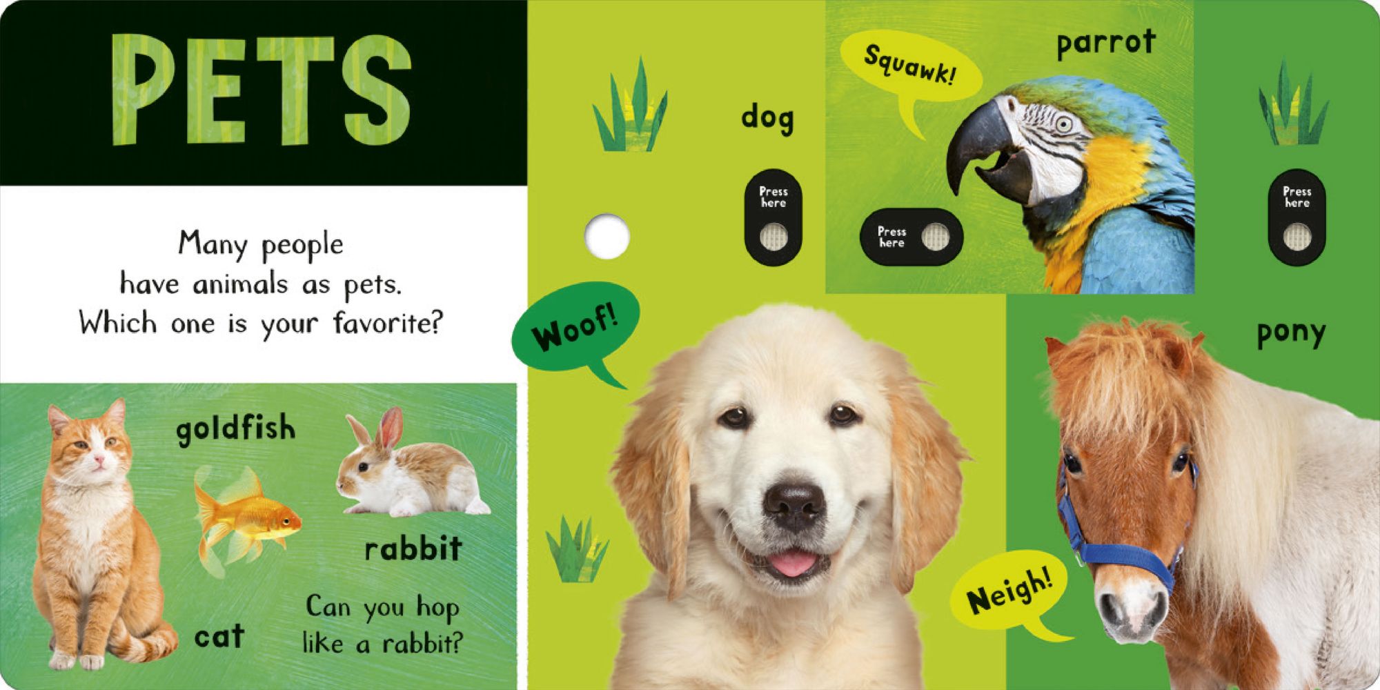 Noisy Animal World: My First Animal Sound Book