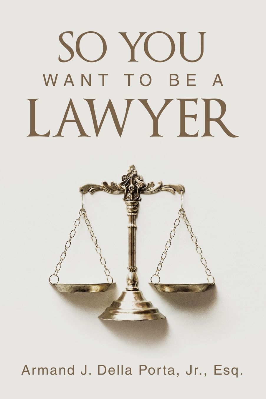 So You Want To Be A Lawyer