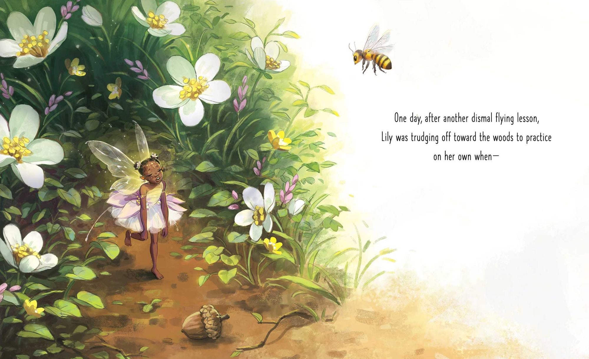 Lily's Dream: A Fairy Friendship