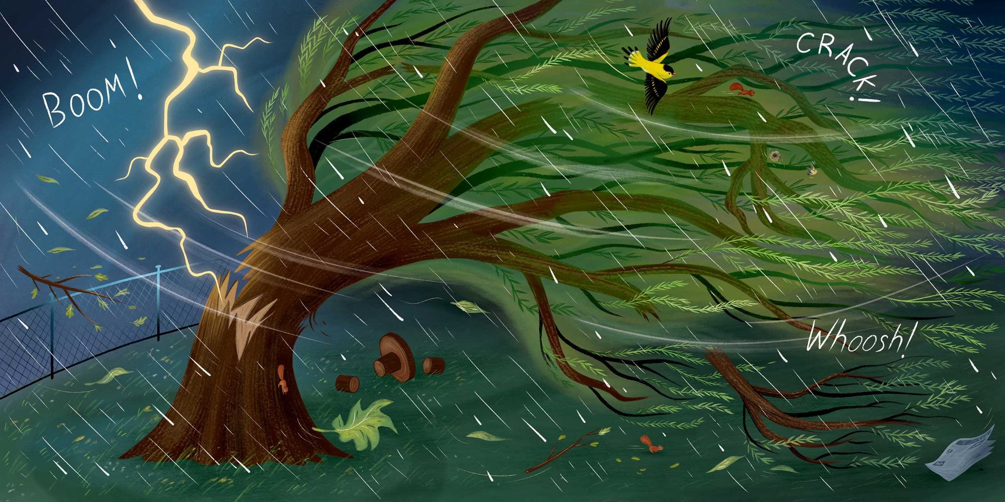 Wonderfully Wild: Rewilding a School and Community