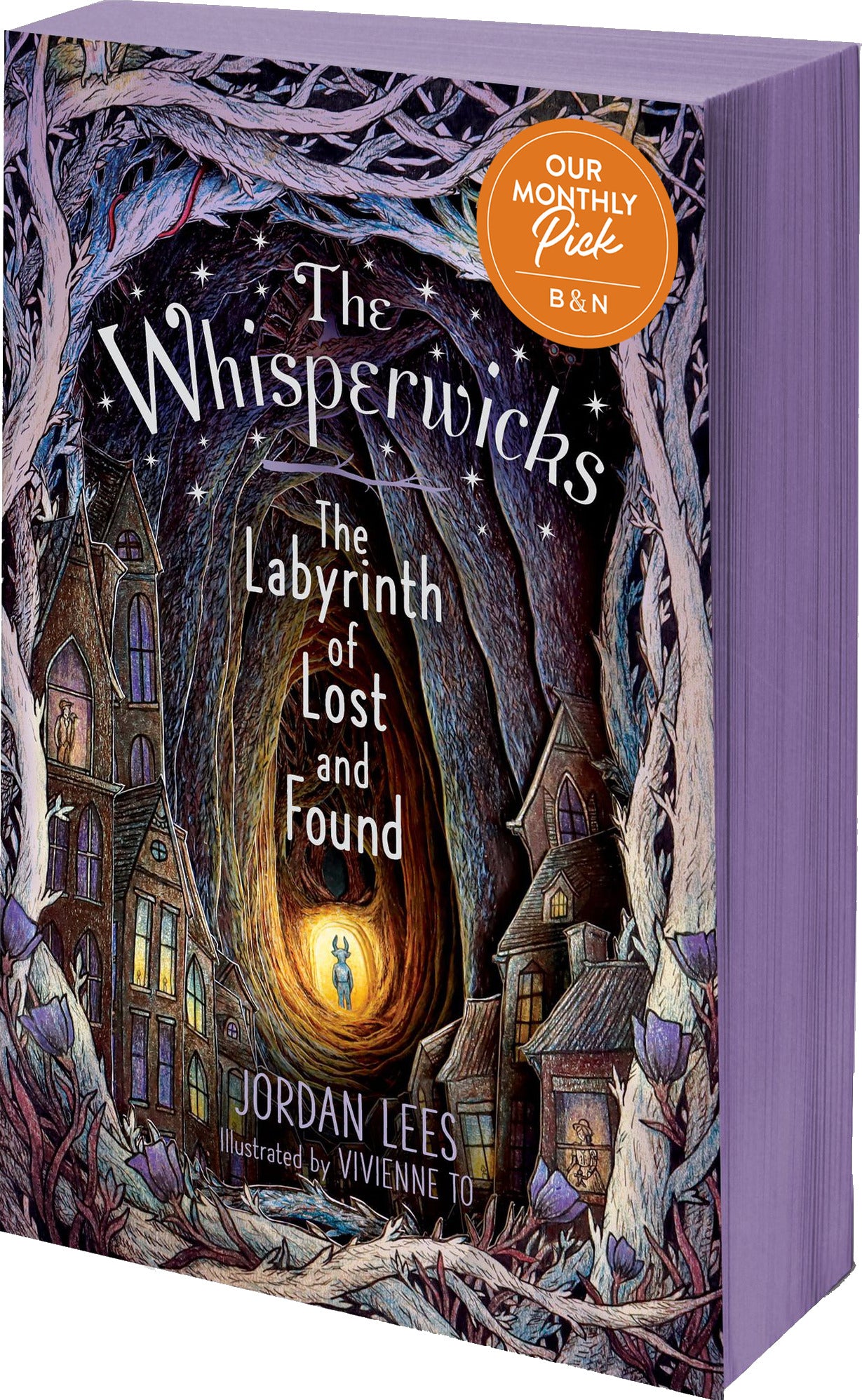 The Labyrinth of Lost and Found (B&N Exclusive Edition)
