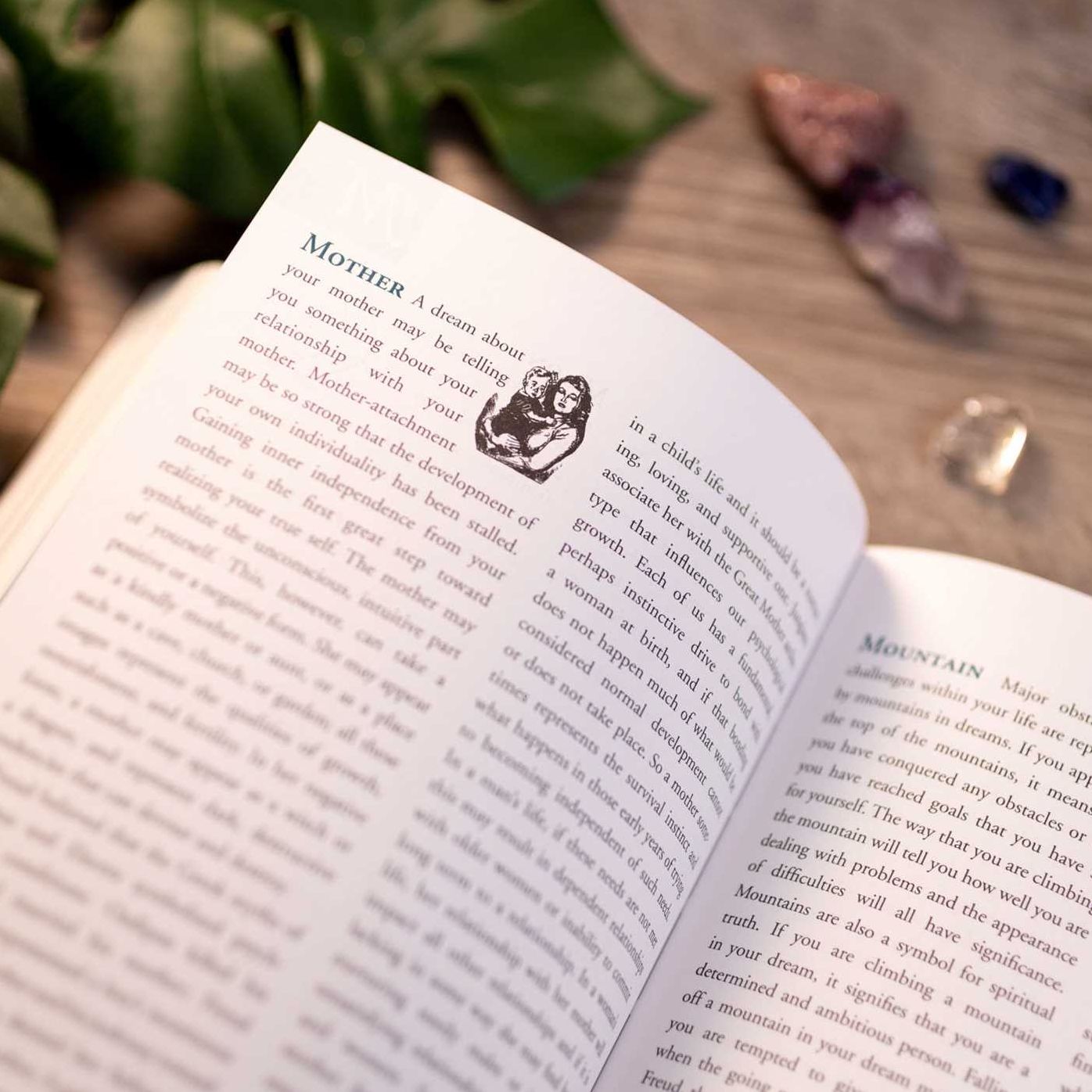 The Dream Dictionary