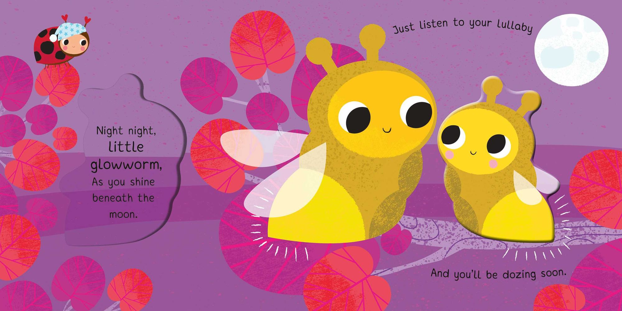 Night Night, My Little Cuddle Bug (Board Book for Babies and Toddlers 0-2 years old)