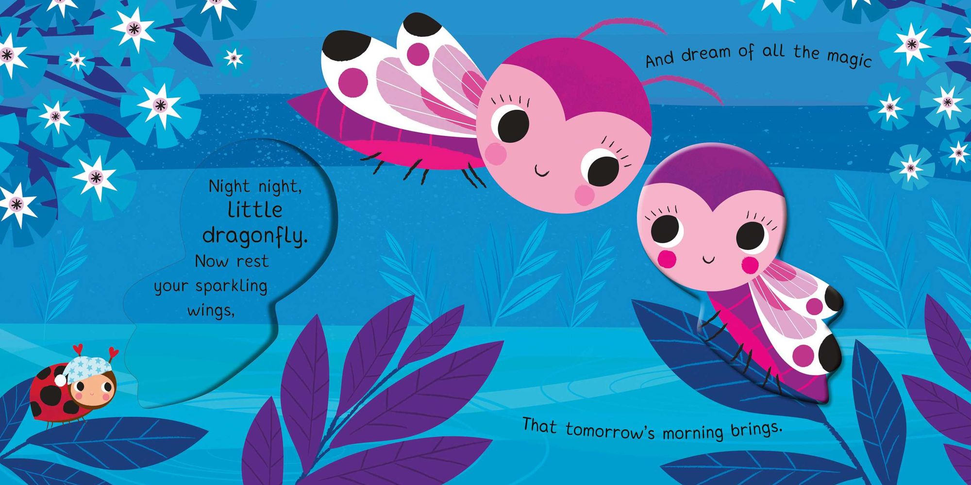 Night Night, My Little Cuddle Bug (Board Book for Babies and Toddlers 0-2 years old)