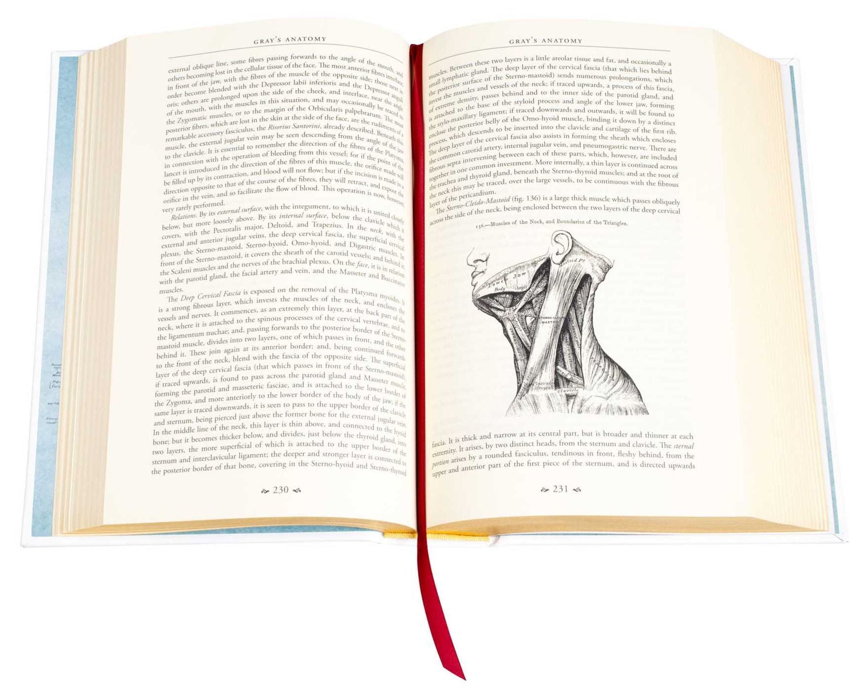 Gray's Anatomy: Anatomy Descriptive and Surgical