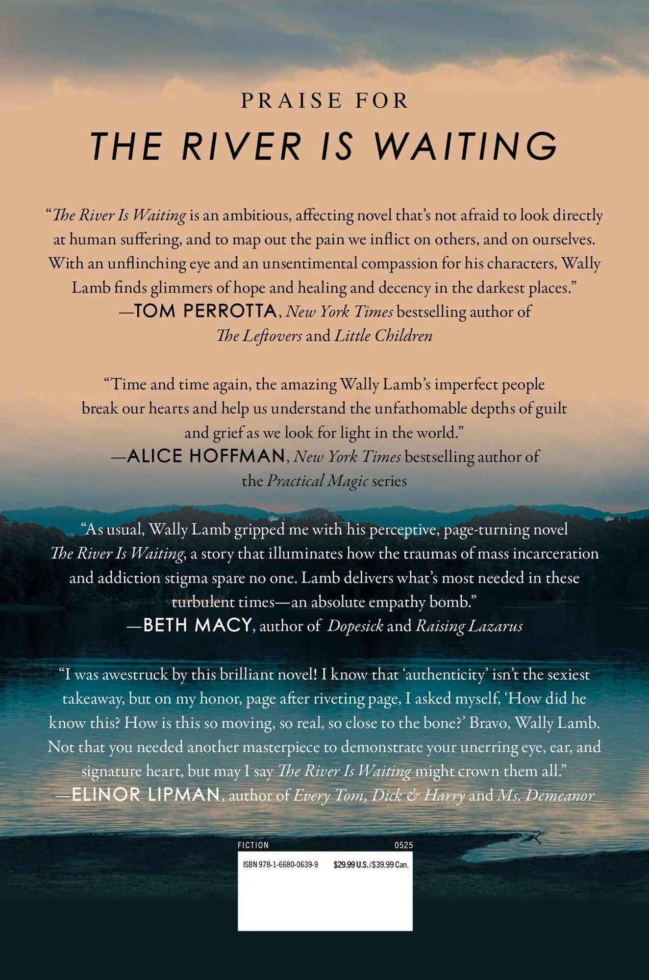 The River Is Waiting (Oprah's Book Club)