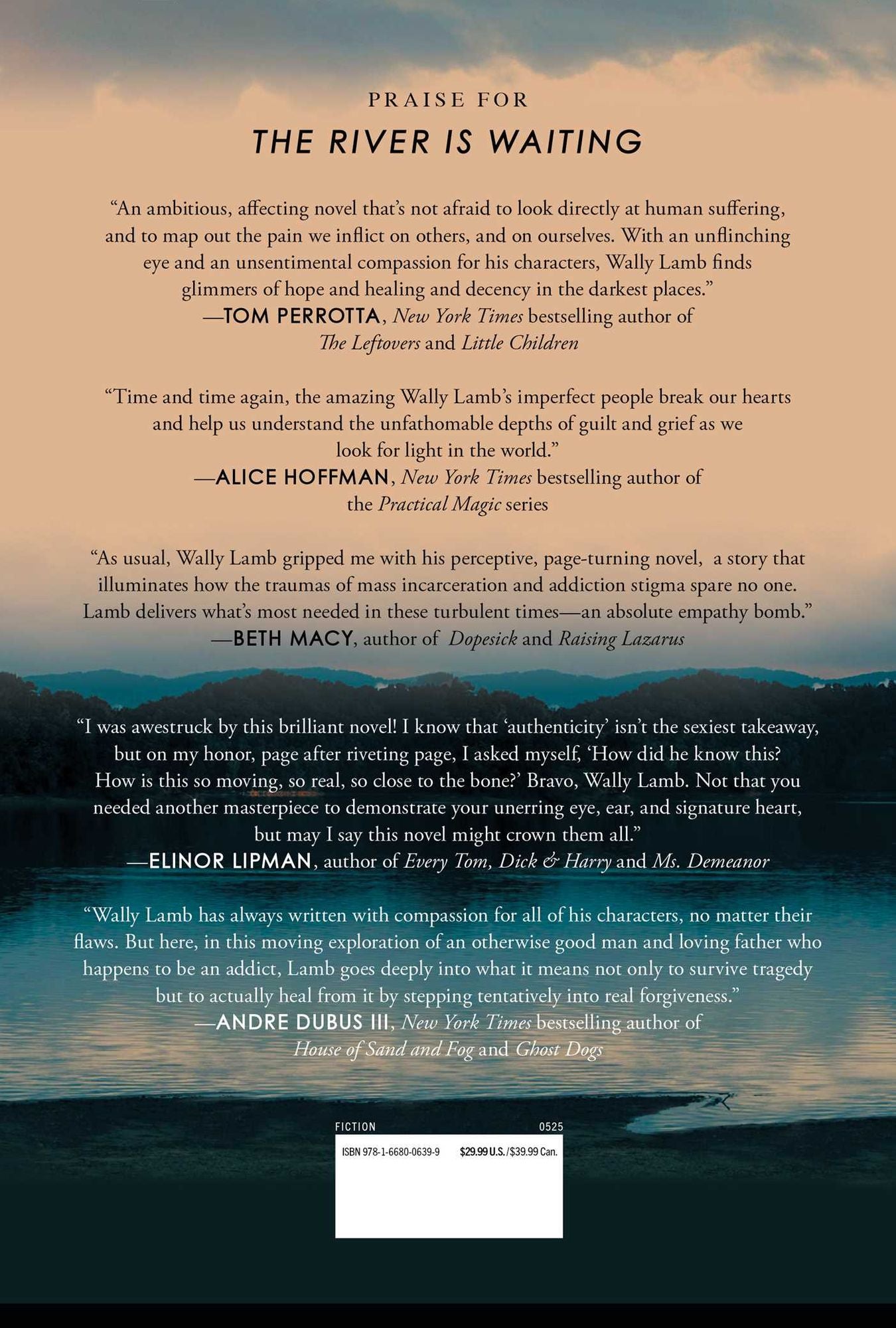 The River Is Waiting (Oprah's Book Club)