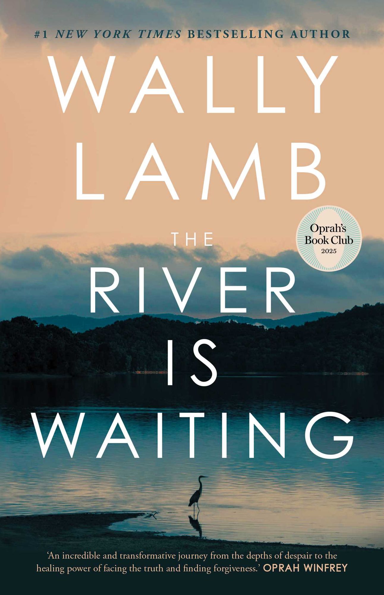 The River Is Waiting (Oprah's Book Club)