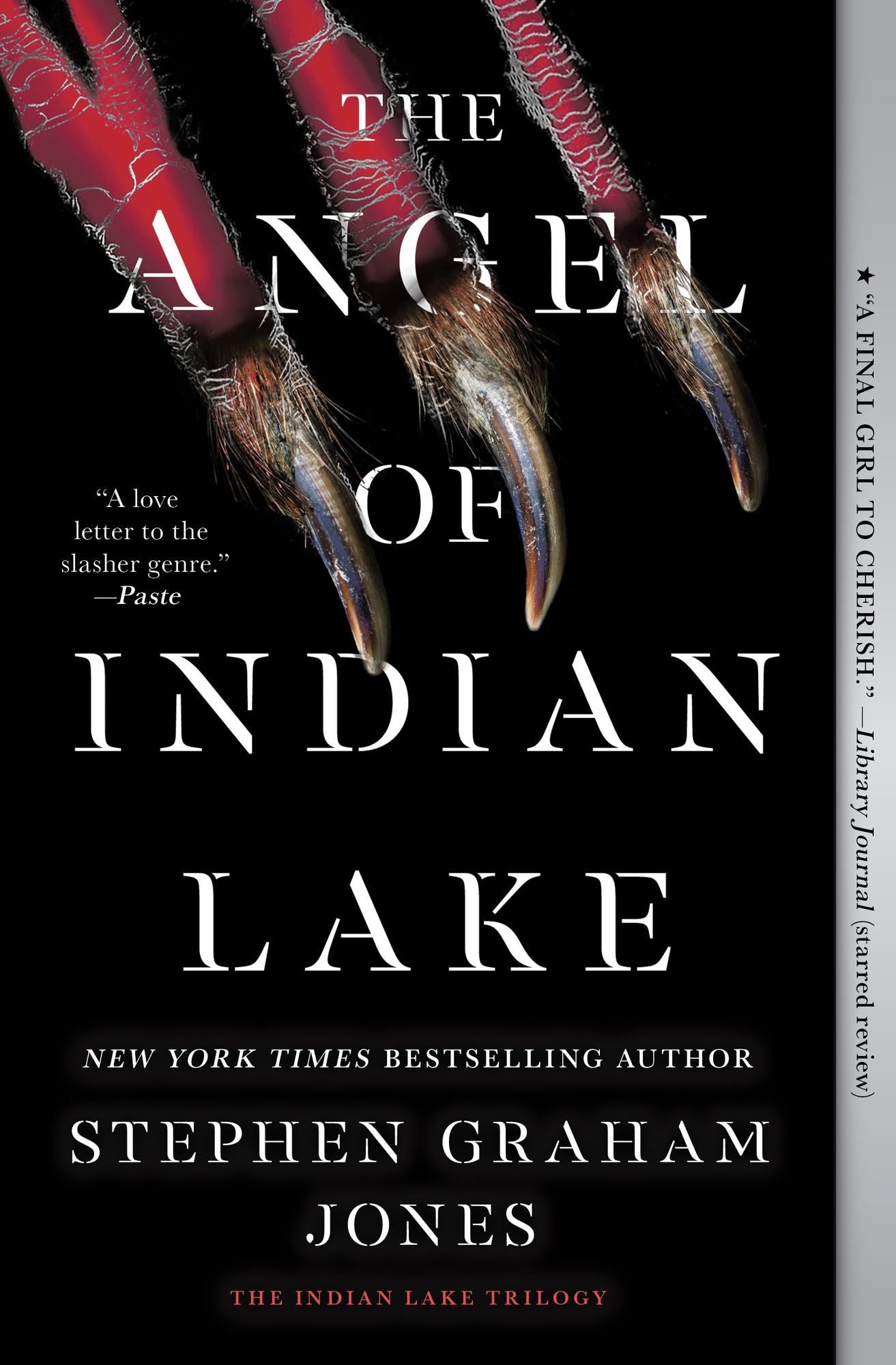 The Angel of Indian Lake (Indian Lake Trilogy #3)