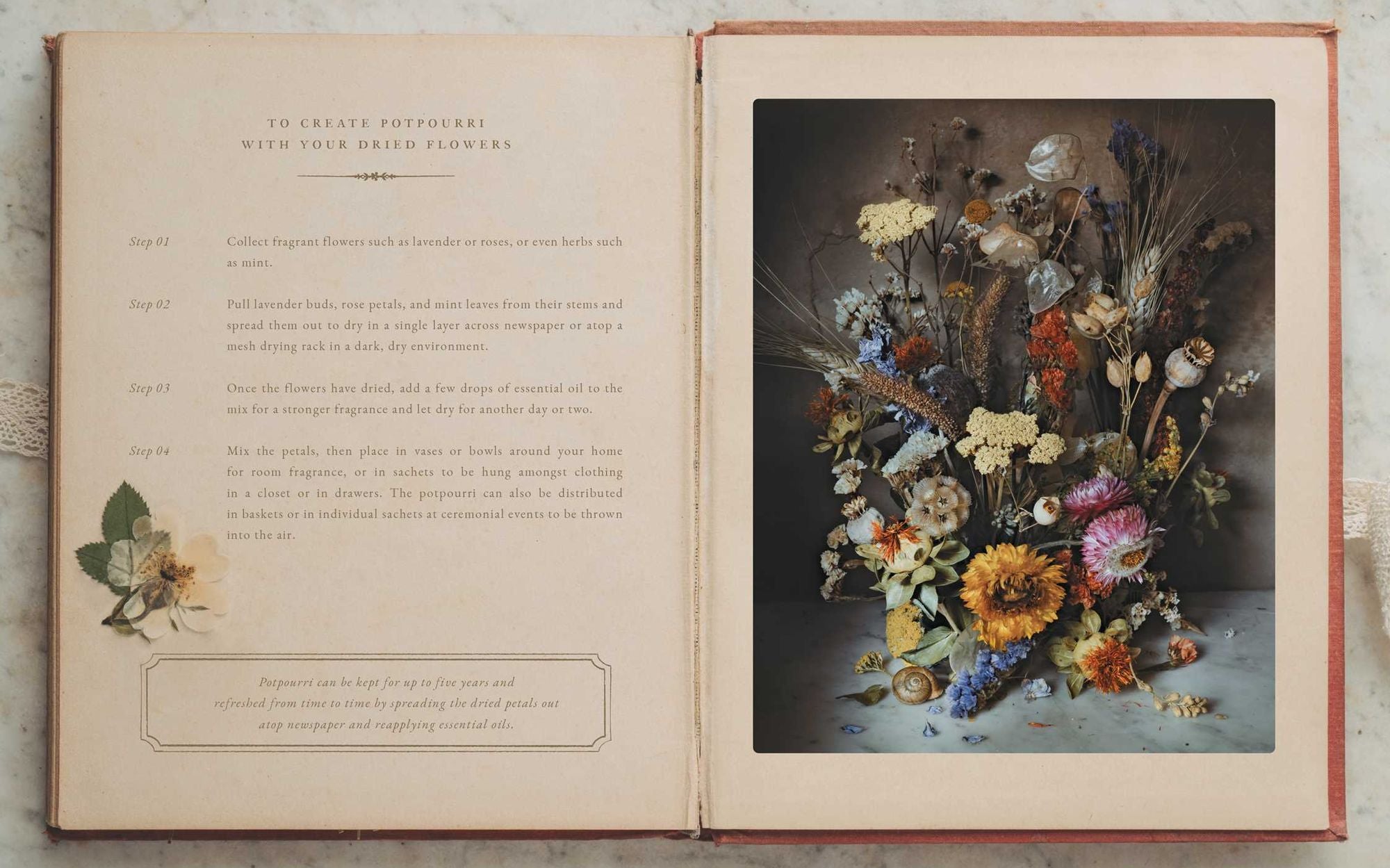 The Flowers of Provence