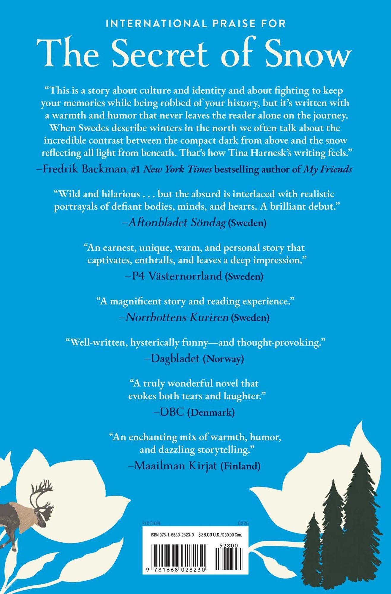 The Secret of Snow: A Novel