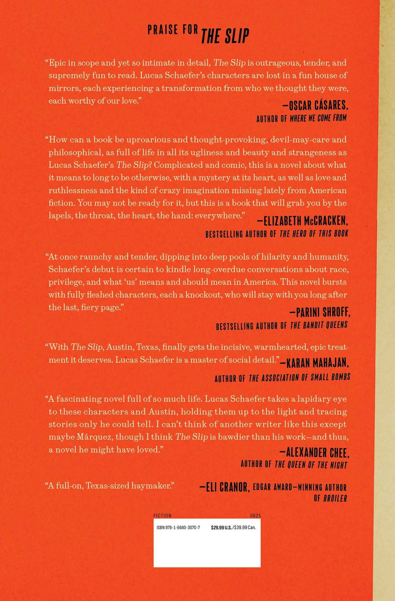 The Slip: A Novel