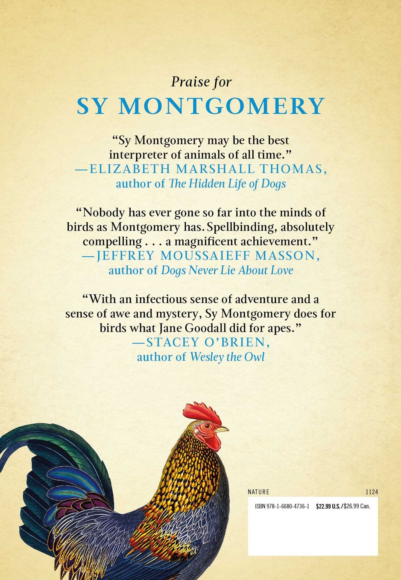 What the Chicken Knows: A New Appreciation of the World's Most Familiar Bird