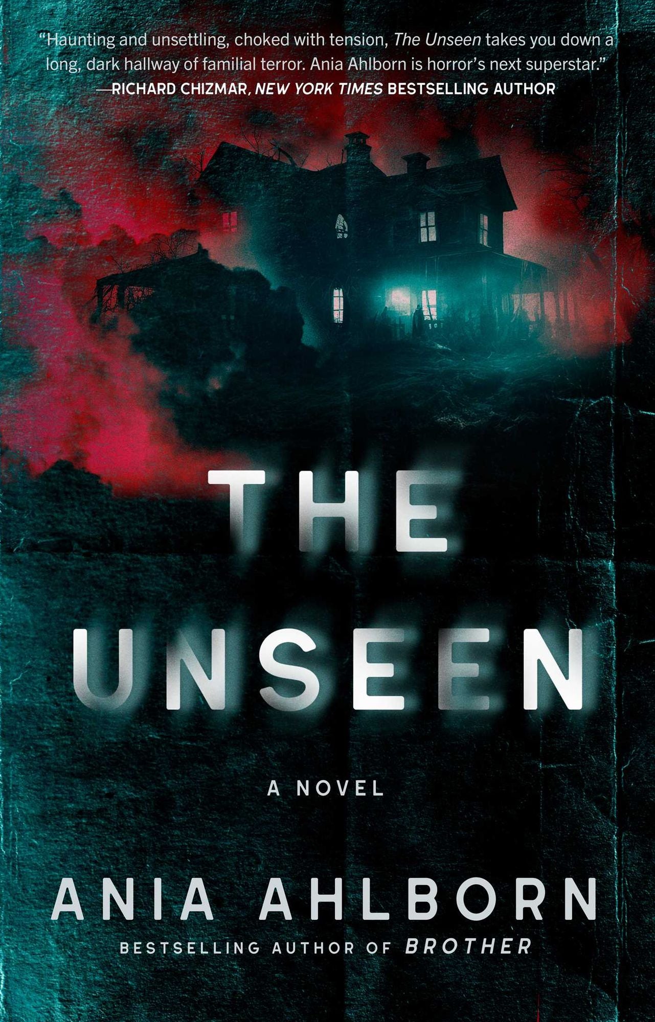 The Unseen: A Novel