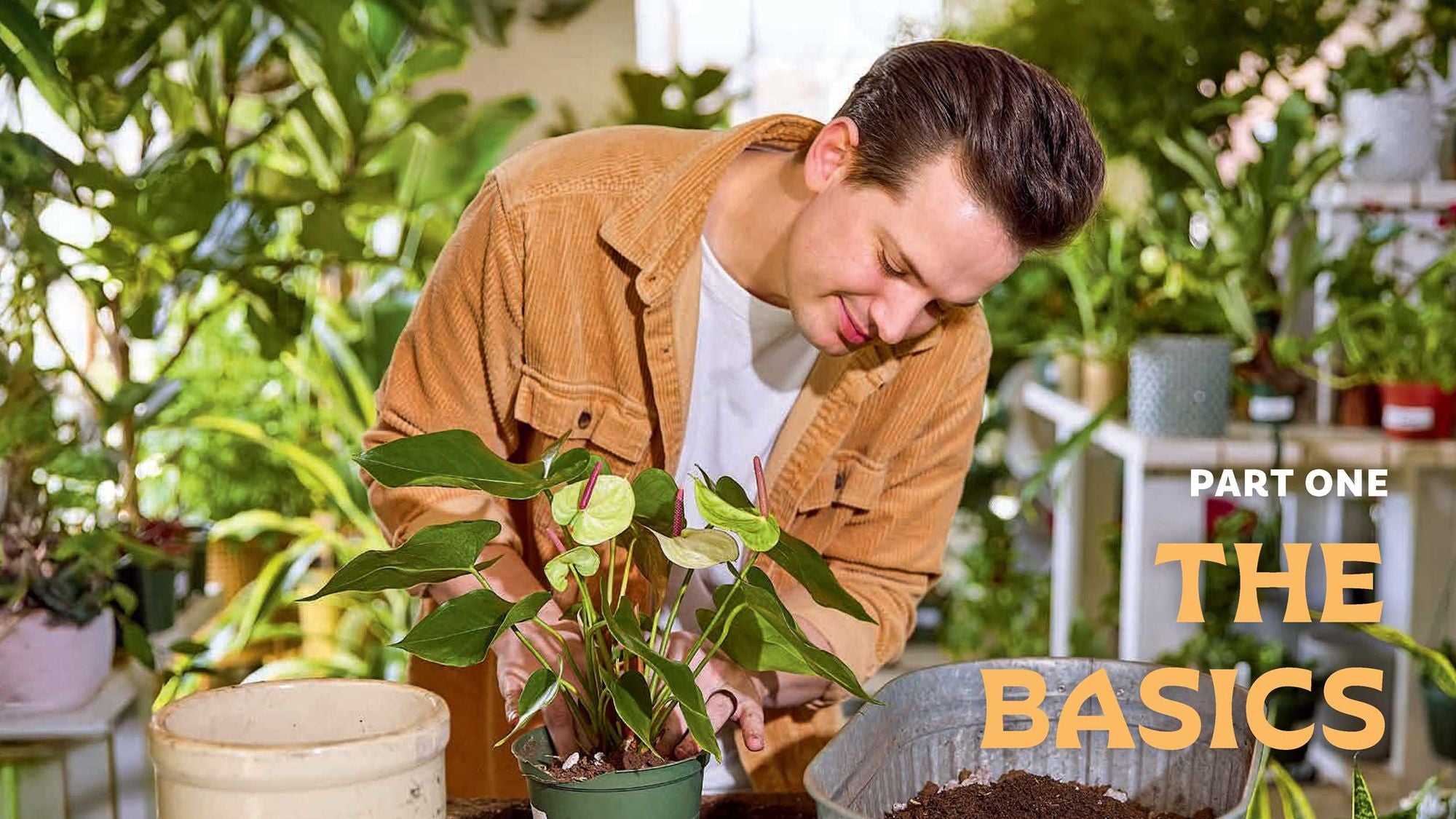For the Love of Houseplants: Caring for & Keeping Plants with Confidence