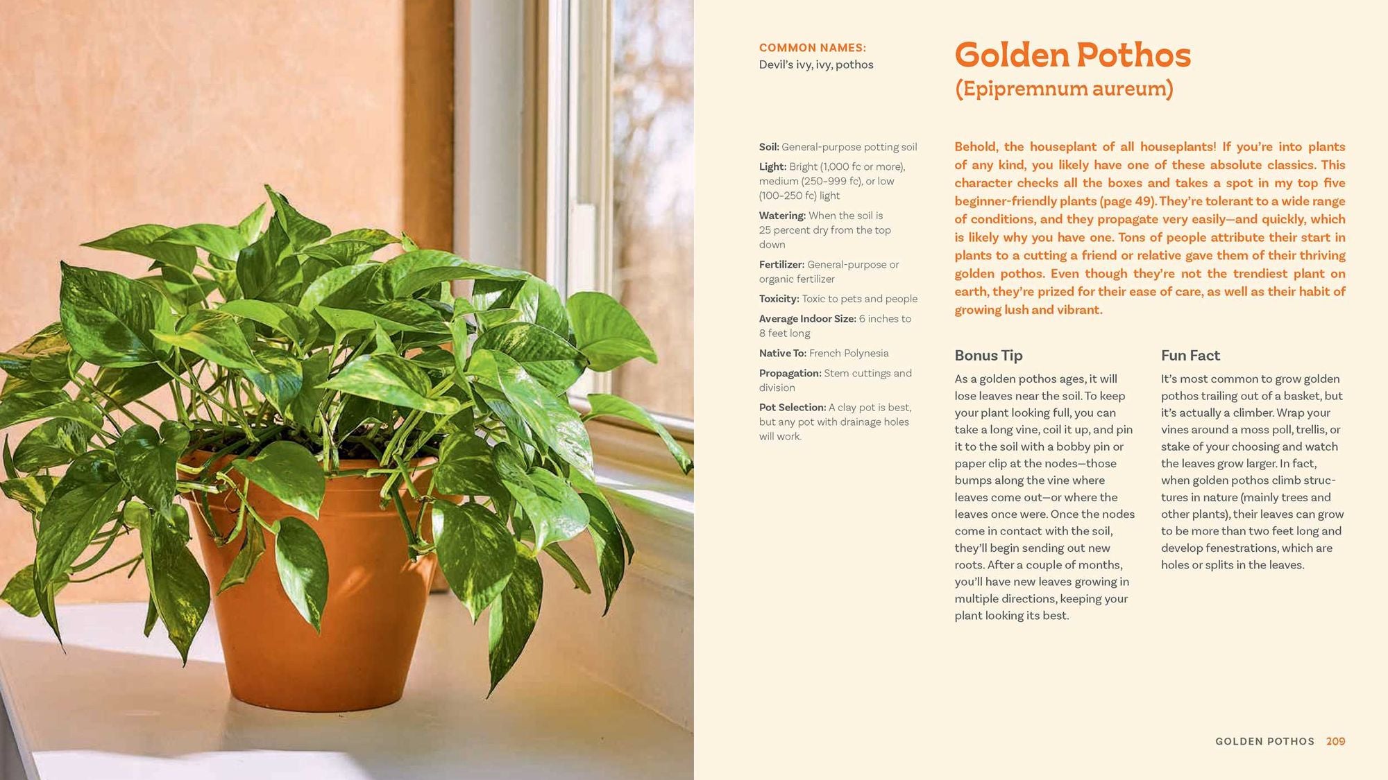 For the Love of Houseplants: Caring for & Keeping Plants with Confidence